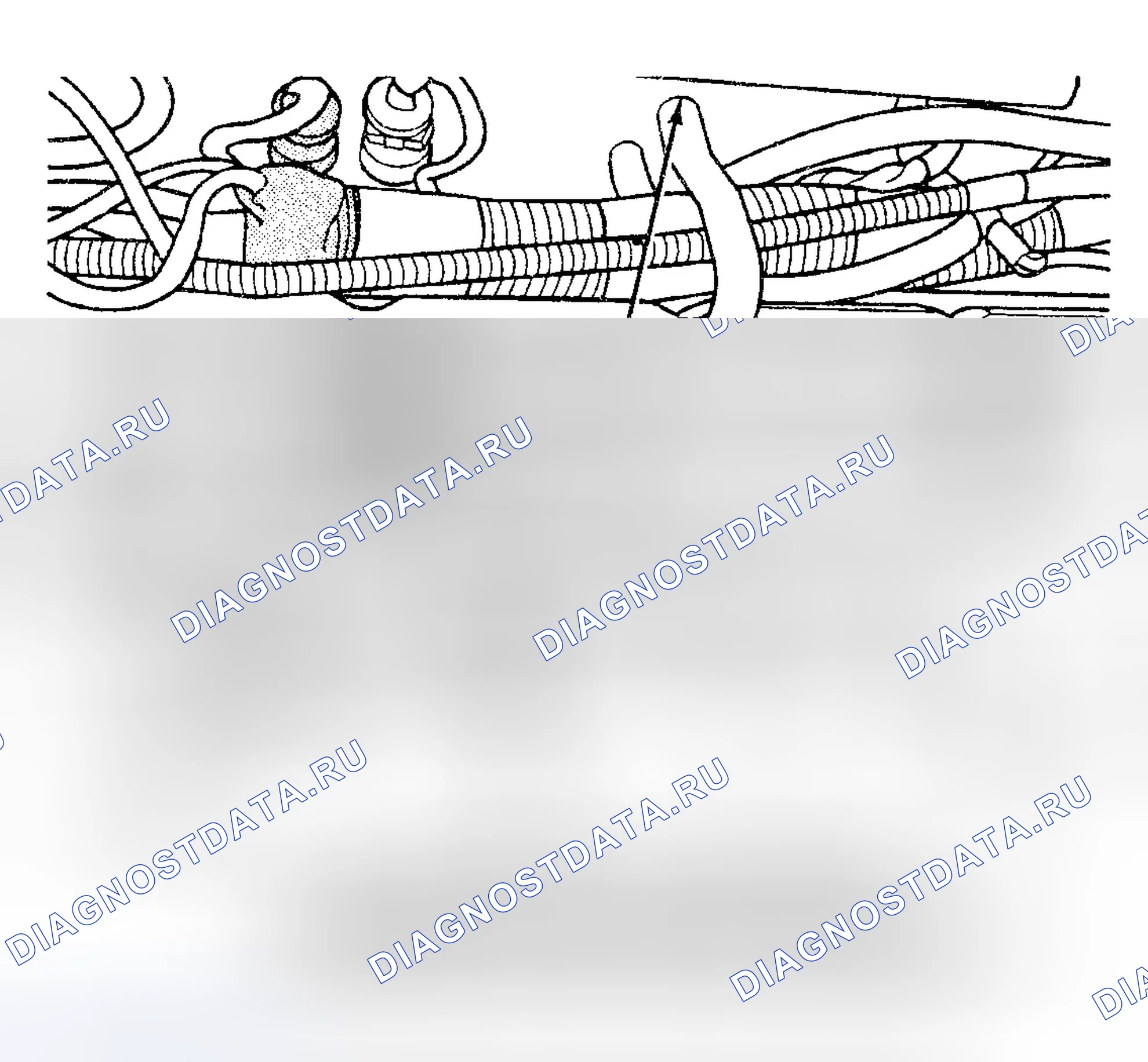 Рис. 1031. Dodge Pickup R3500 