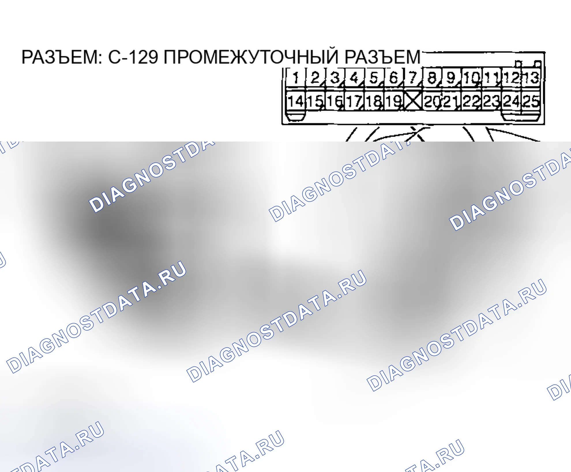 Рис. 248. Honda Edix I