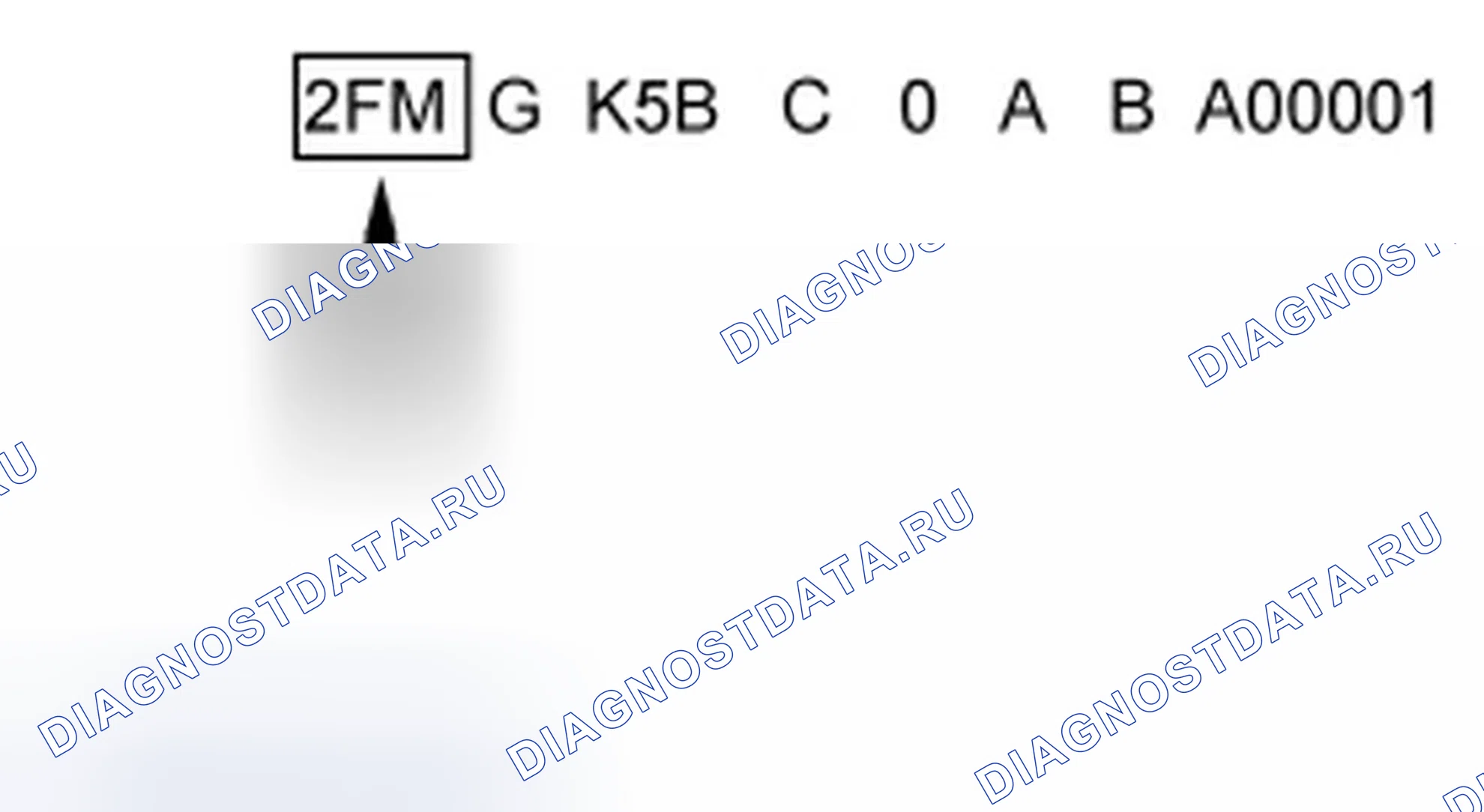 Рис. 3: Идентификатор мирового производителя (WMI). Ford Flex I