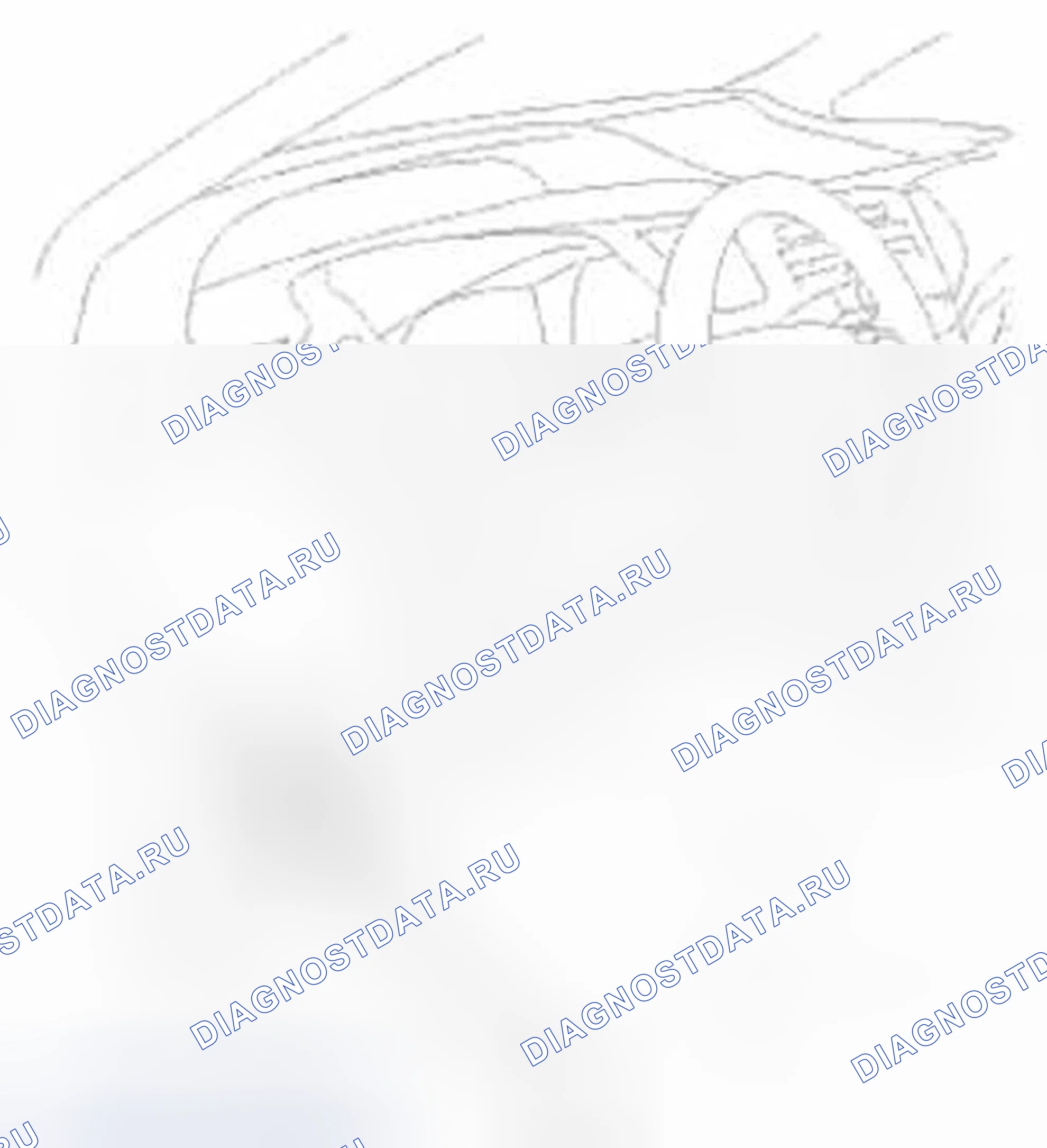 Рис. 778. Honda Civic IX