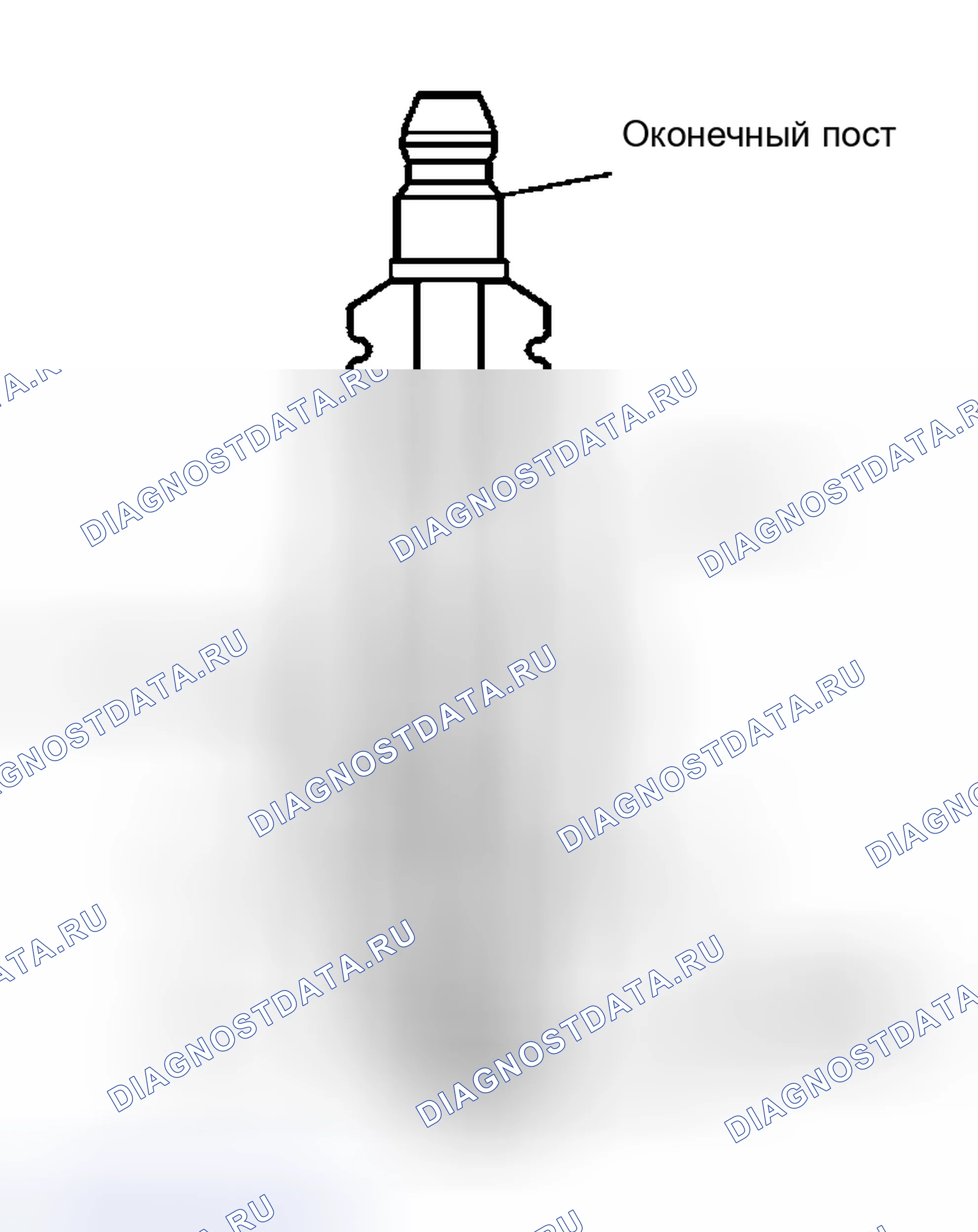Рис. 6. Hyundai Venue I