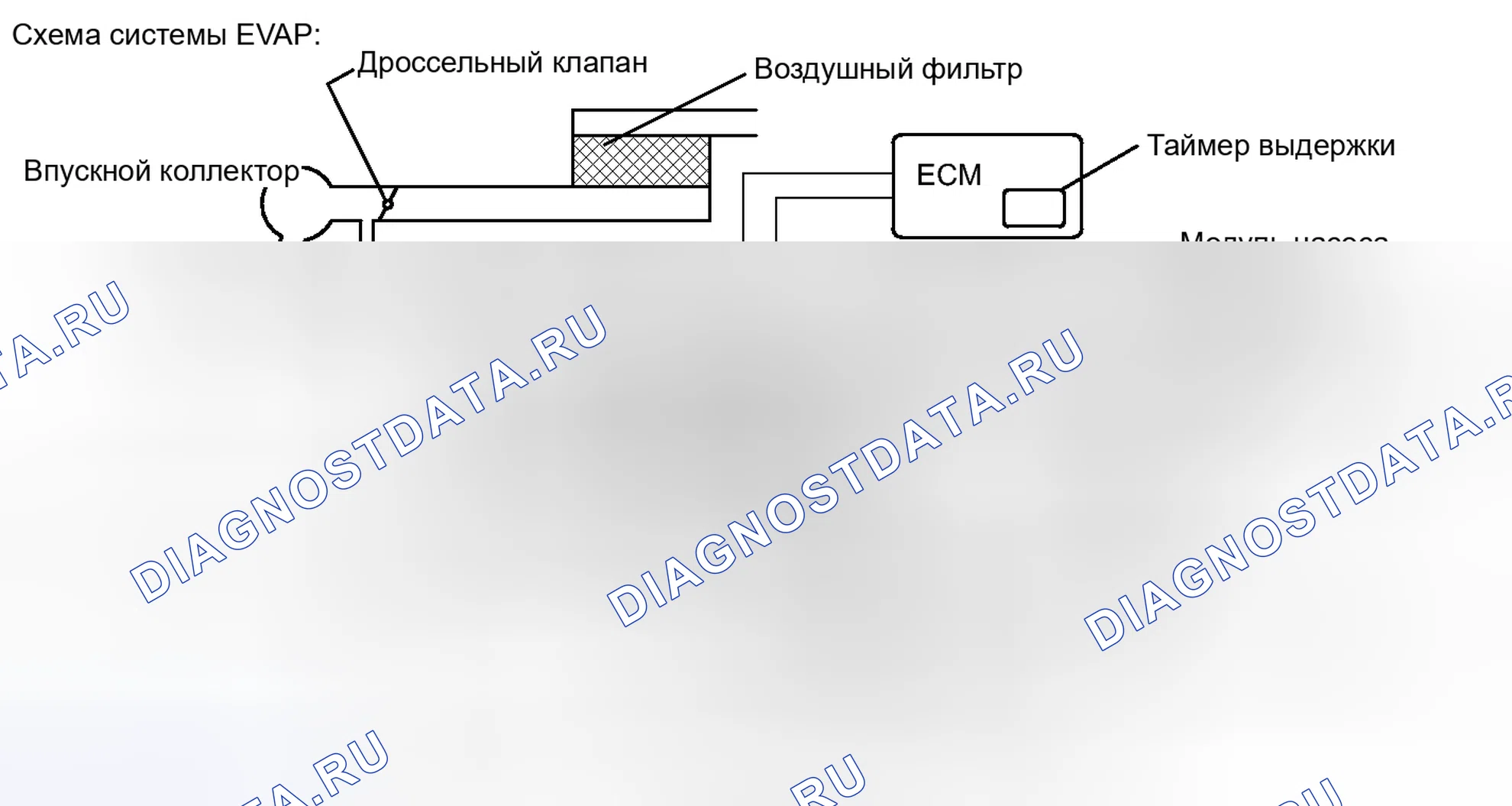 Рис. 220. Toyota RAV4 III рестайлинг