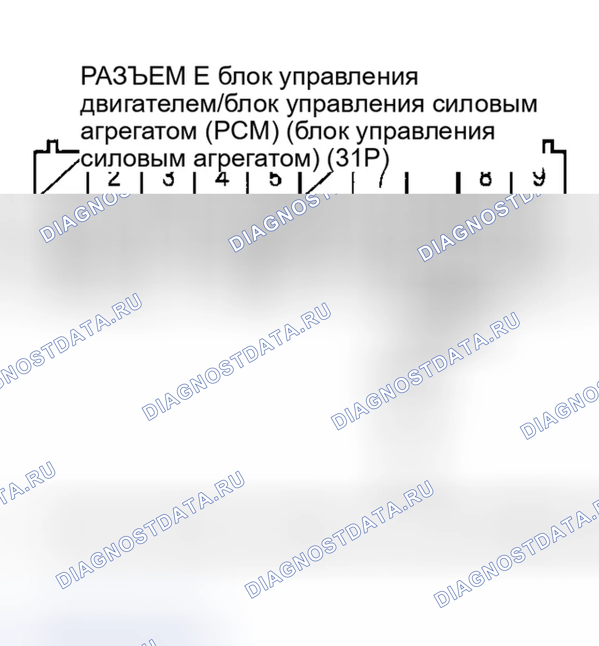 Рис. 44. Honda Element I
