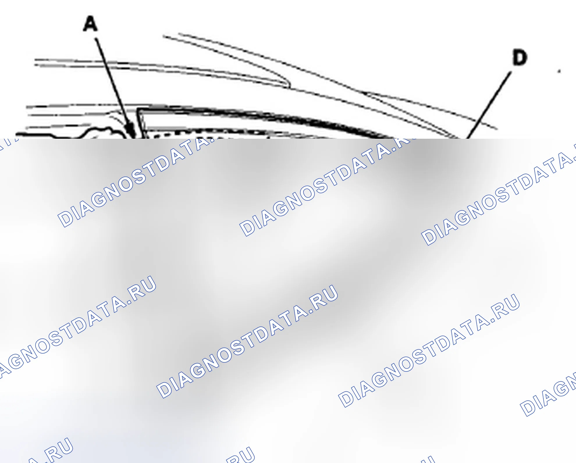 Рис. 90. Honda Accord VIII рестайлинг