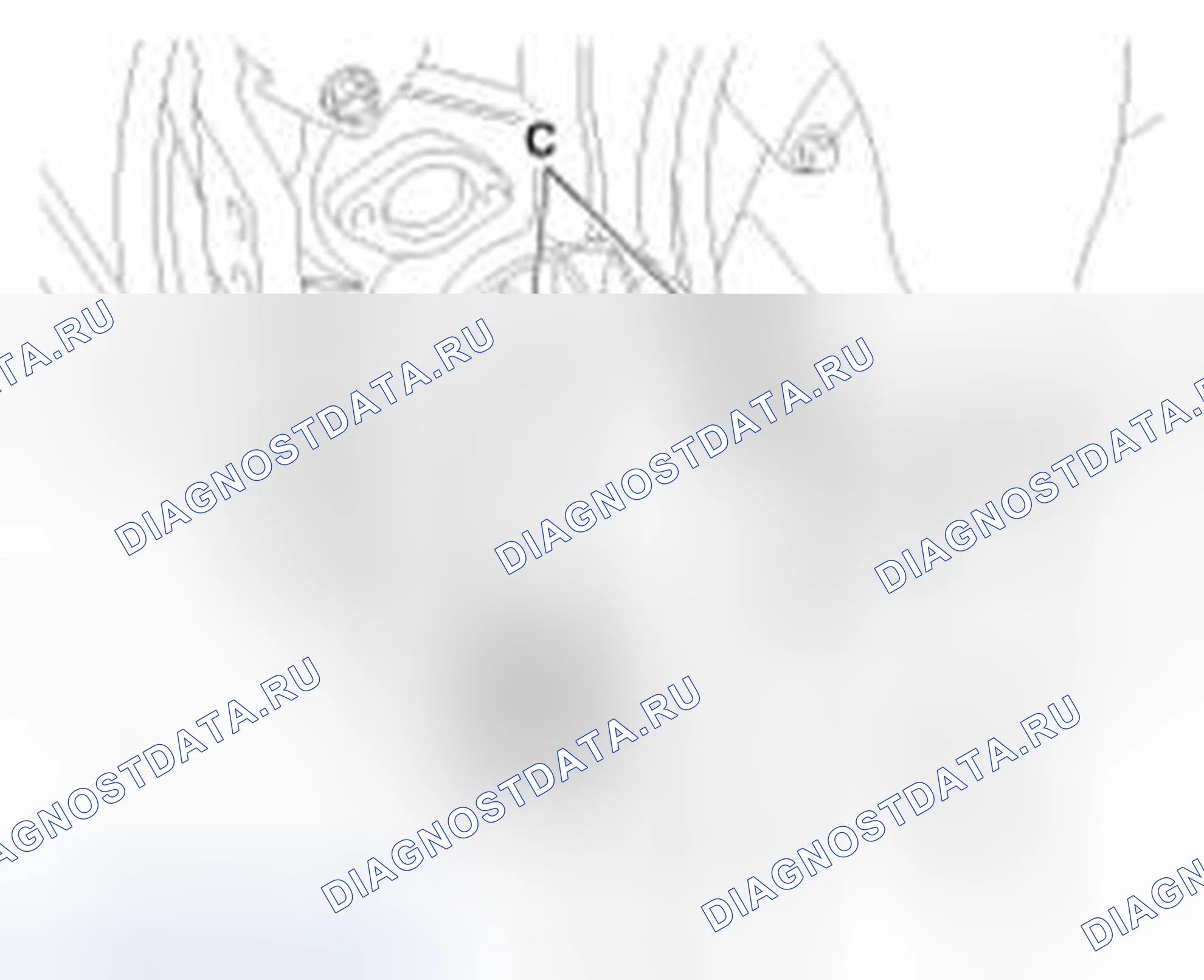 Рис. 105. Haval Beast (Shenshou) I
