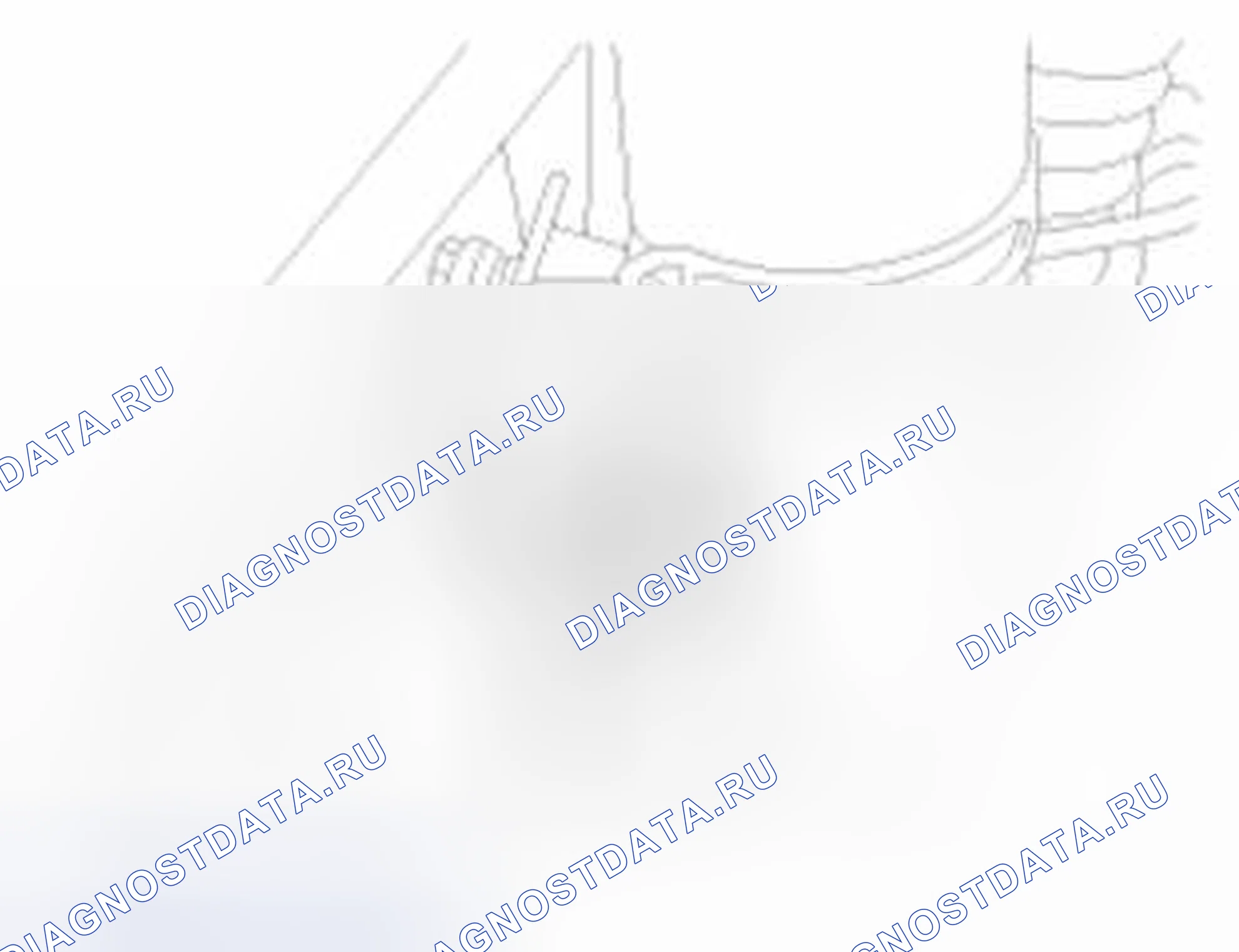 Рис. 274. Haval Beast (Shenshou) I