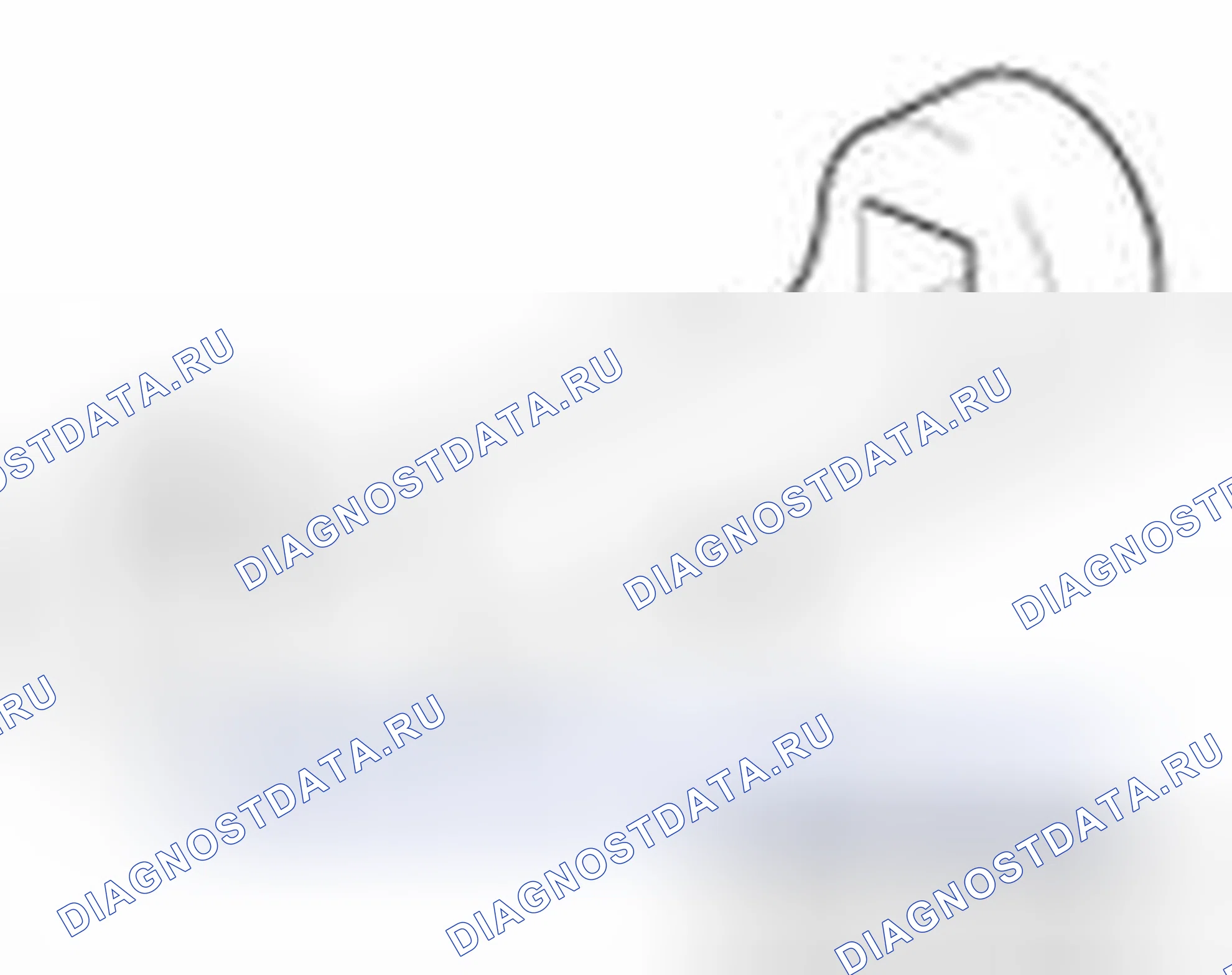 Рис. 62. Haval Beast (Shenshou) I