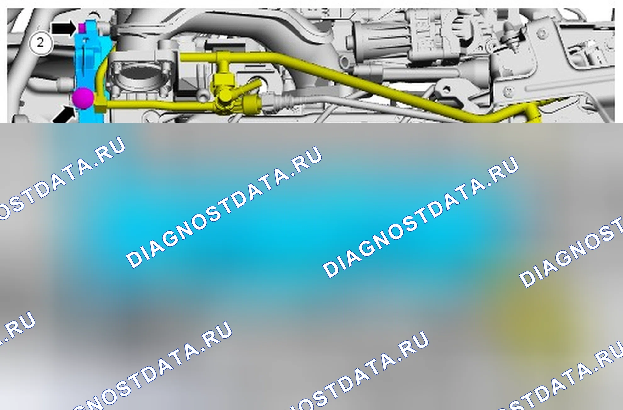 Как снять и установить головку цилиндров. Ford Transit Connect II