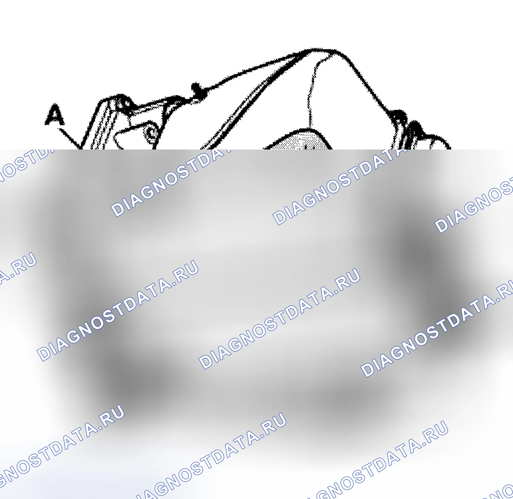 Рис. 97. Audi TT 8N рестайлинг