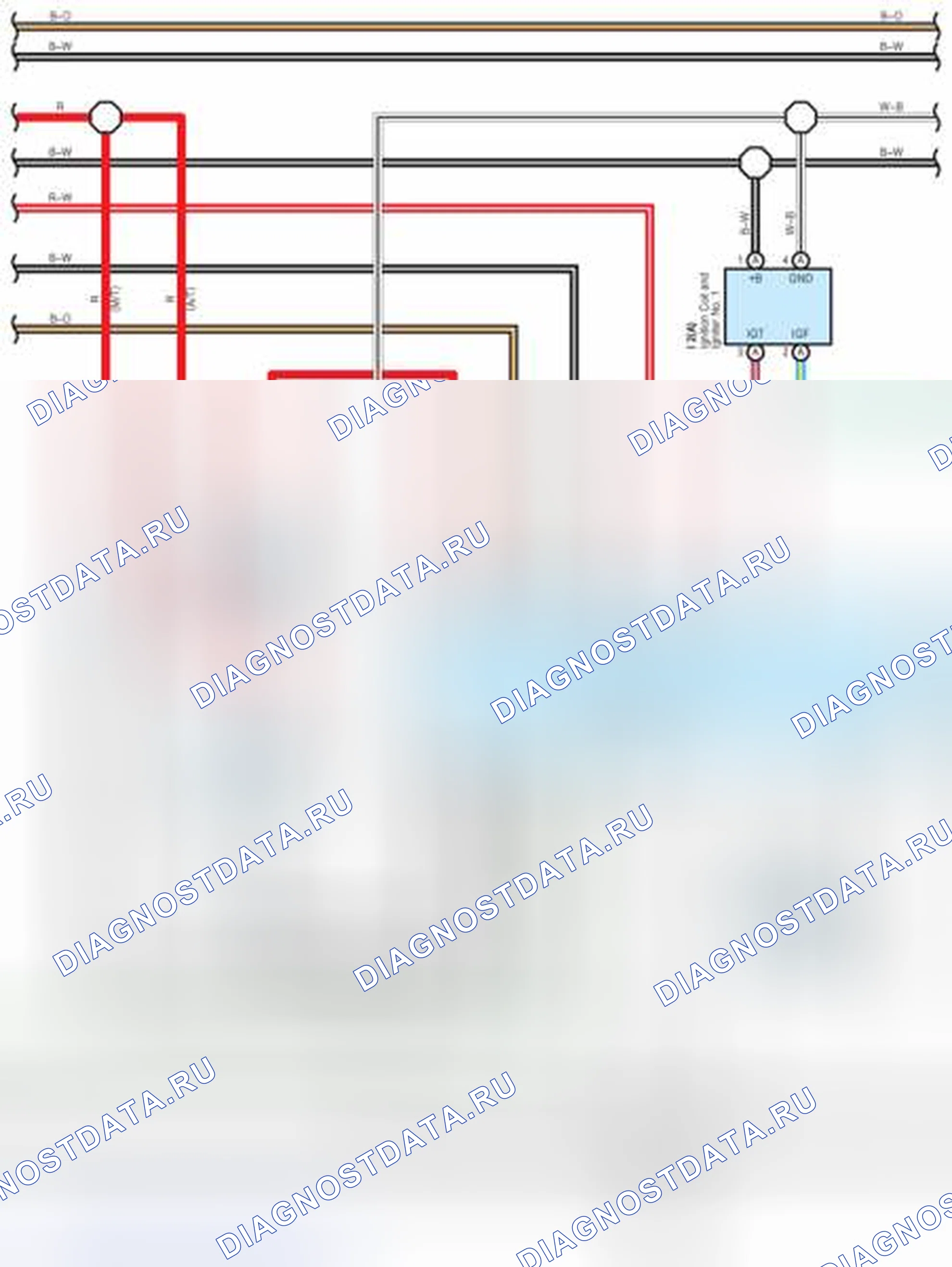Рис. 417: Разъем управления сиденьем с электроприводом Sw (сиденье переднего пассажира), вид с торца (P19). Toyota 4Runner IV рестайлинг