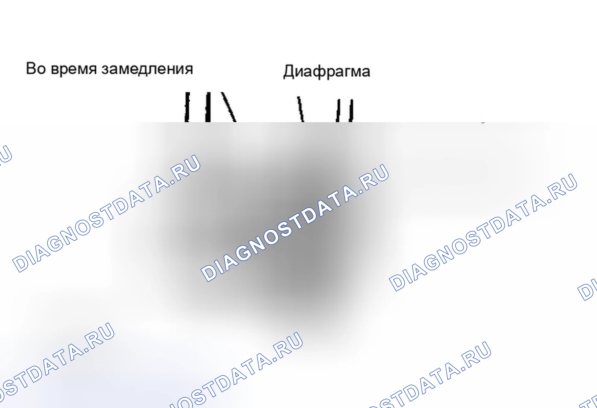 Рис. 13: Проверка перемещения диафрагмы клапана рециркуляция отработавших газов. Chevrolet Sprint I