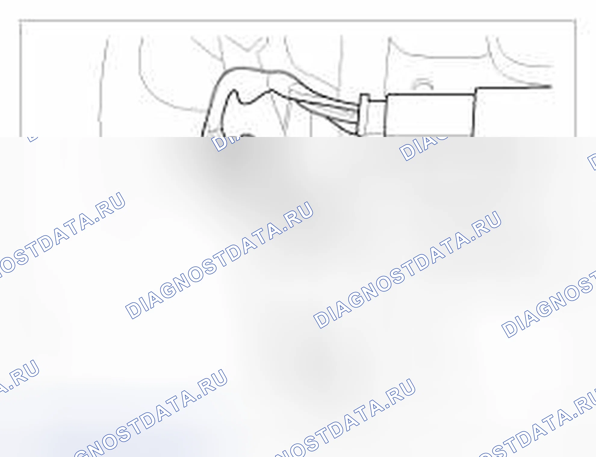 Рис. 6: Bluetooth [Нижний]. BMW 6 серия F06/F13/F12