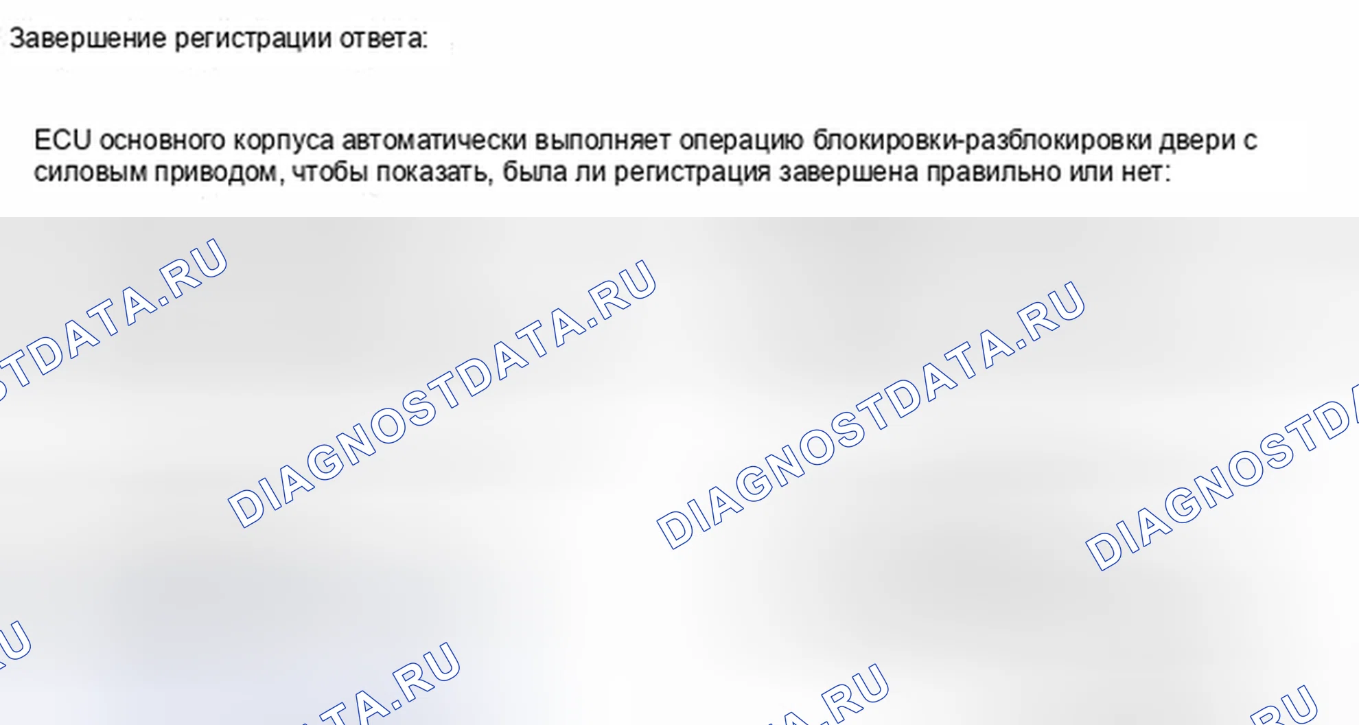Рис. 117: РЕГИСТРАЦИЯ. Toyota RAV4 III рестайлинг