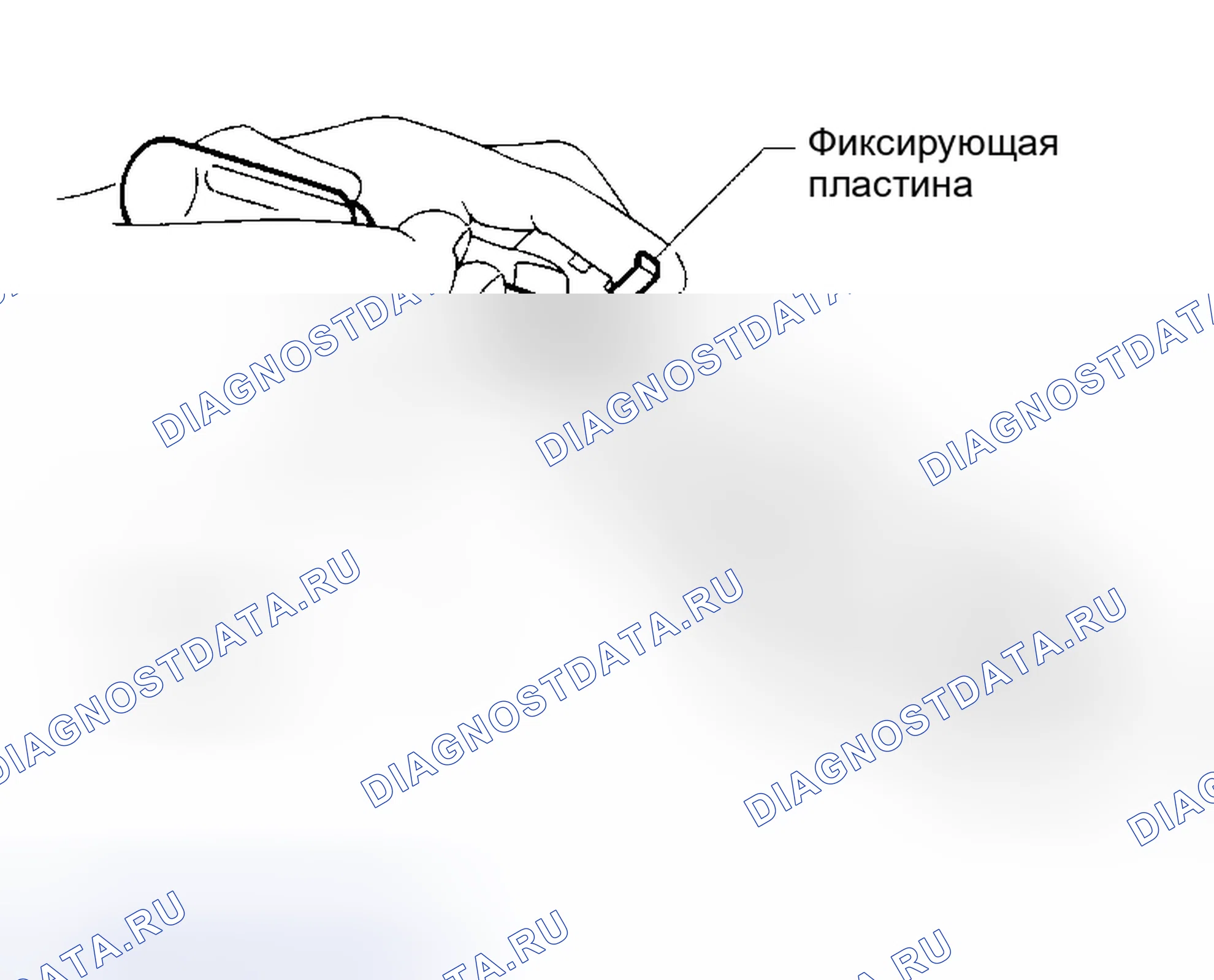 Рис. 470. Nissan Altima L31 рестайлинг