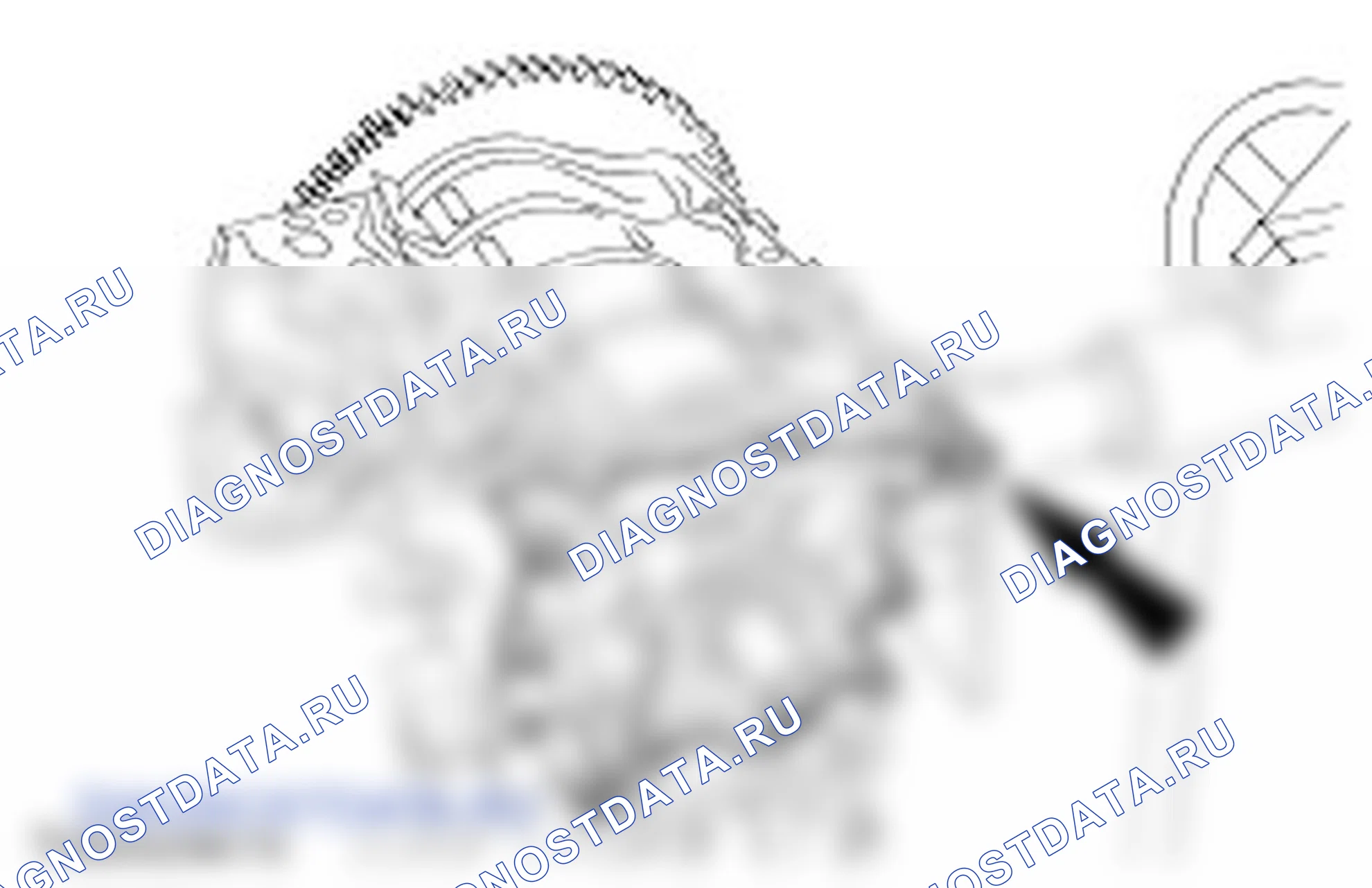 Разборка двигателя. Ford C-MAX I рестайлинг