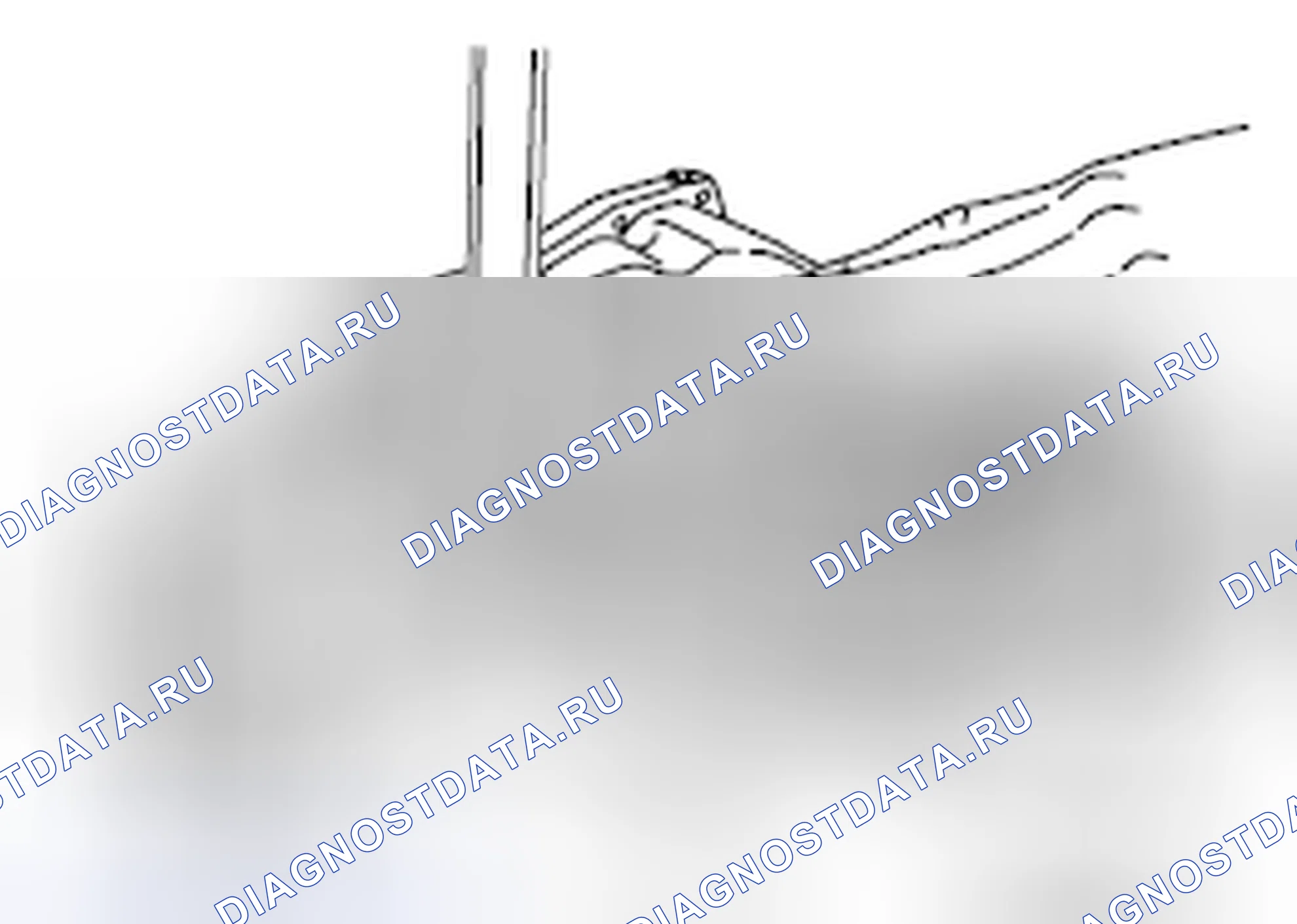 Рис. 516. Honda e:NP1 I