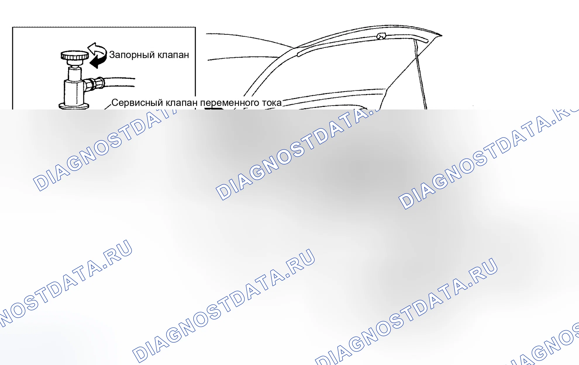 Рис. 206: Выпуск хладагента. Nissan Altima L31 рестайлинг
