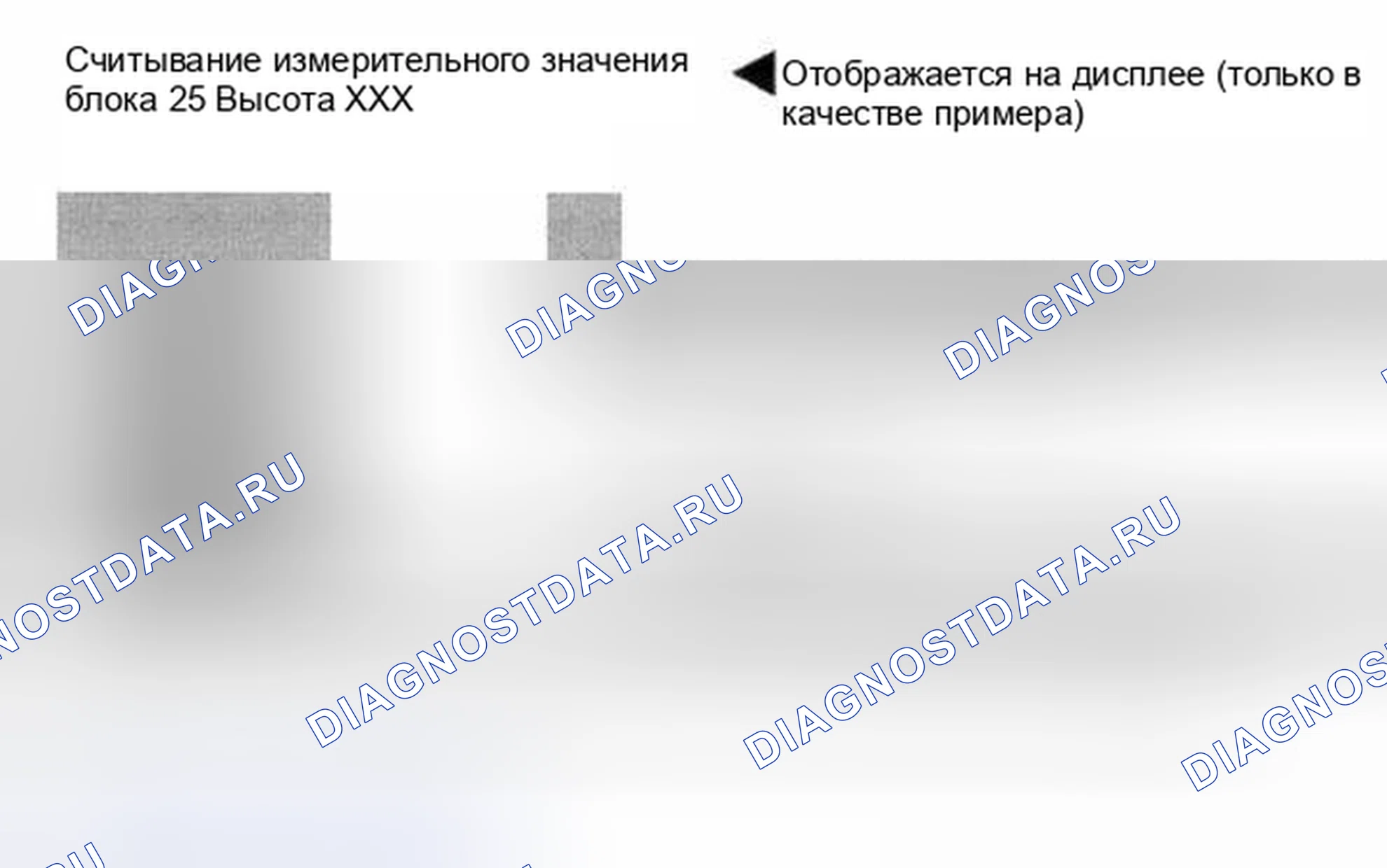 Рис. 15: Дисплейная группа 025. Audi S8 D2 рестайлинг 2