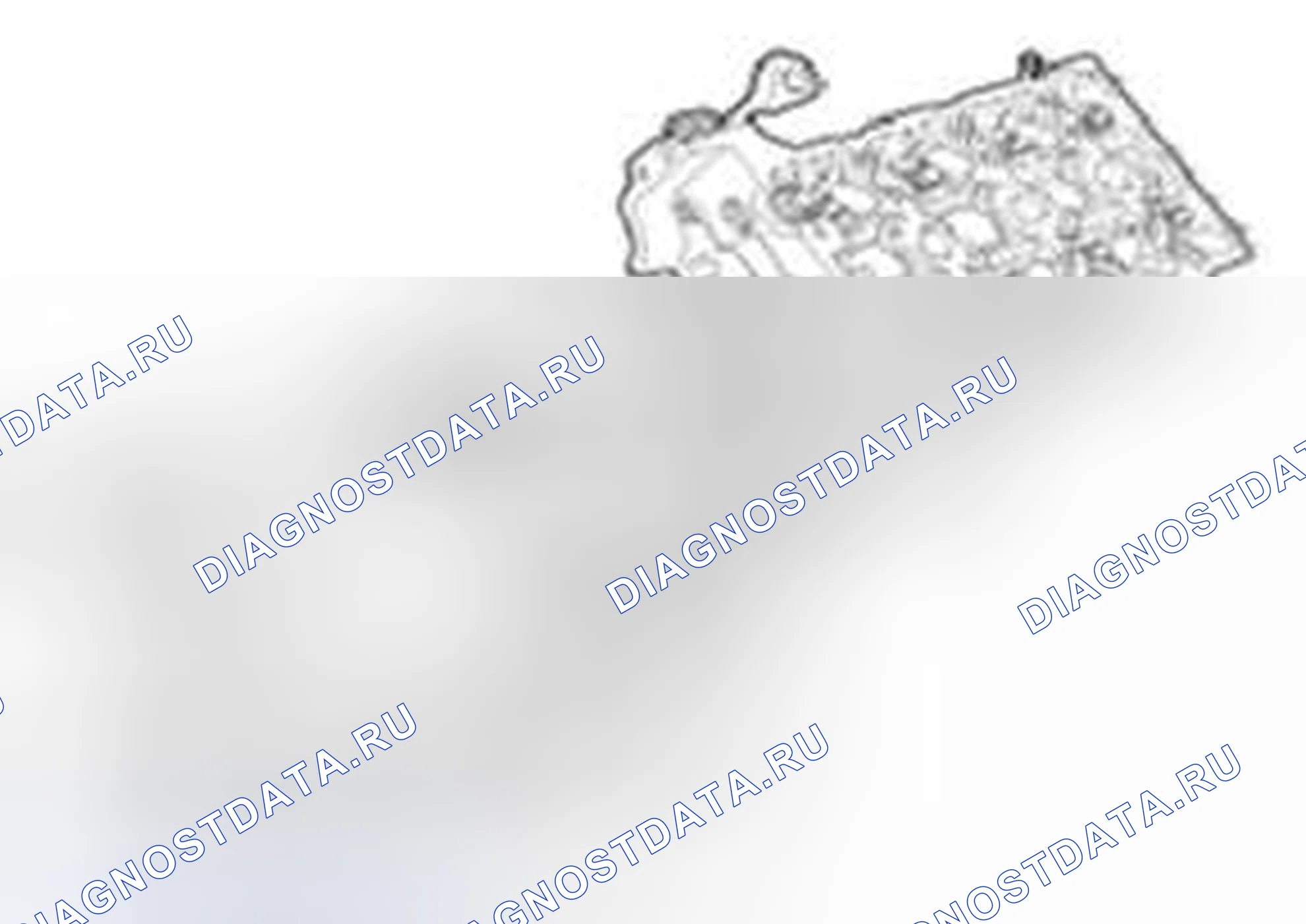 Рис. 30. Hyundai Veracruz I