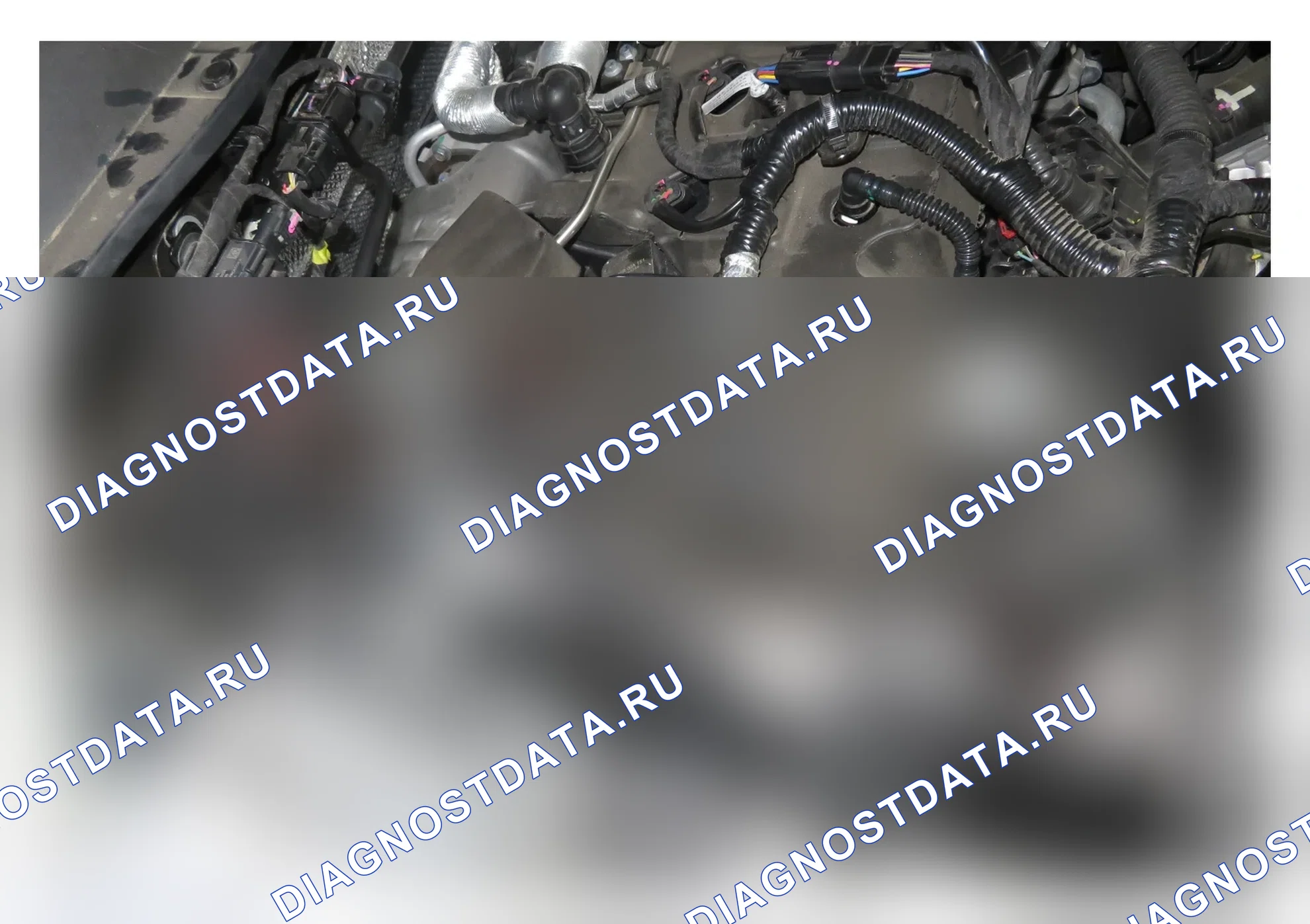Как снять и установить датчик фазы распределительного вала — Haval Dargo. Haval Dargo II