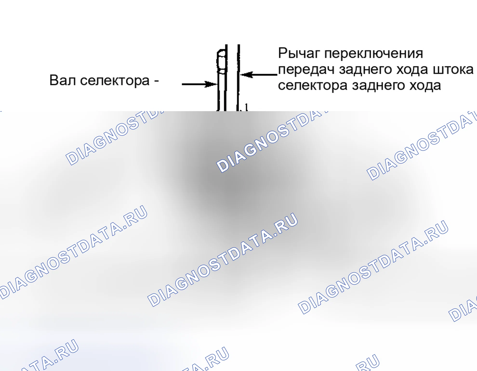Рис. 52. Ford Focus I рестайлинг