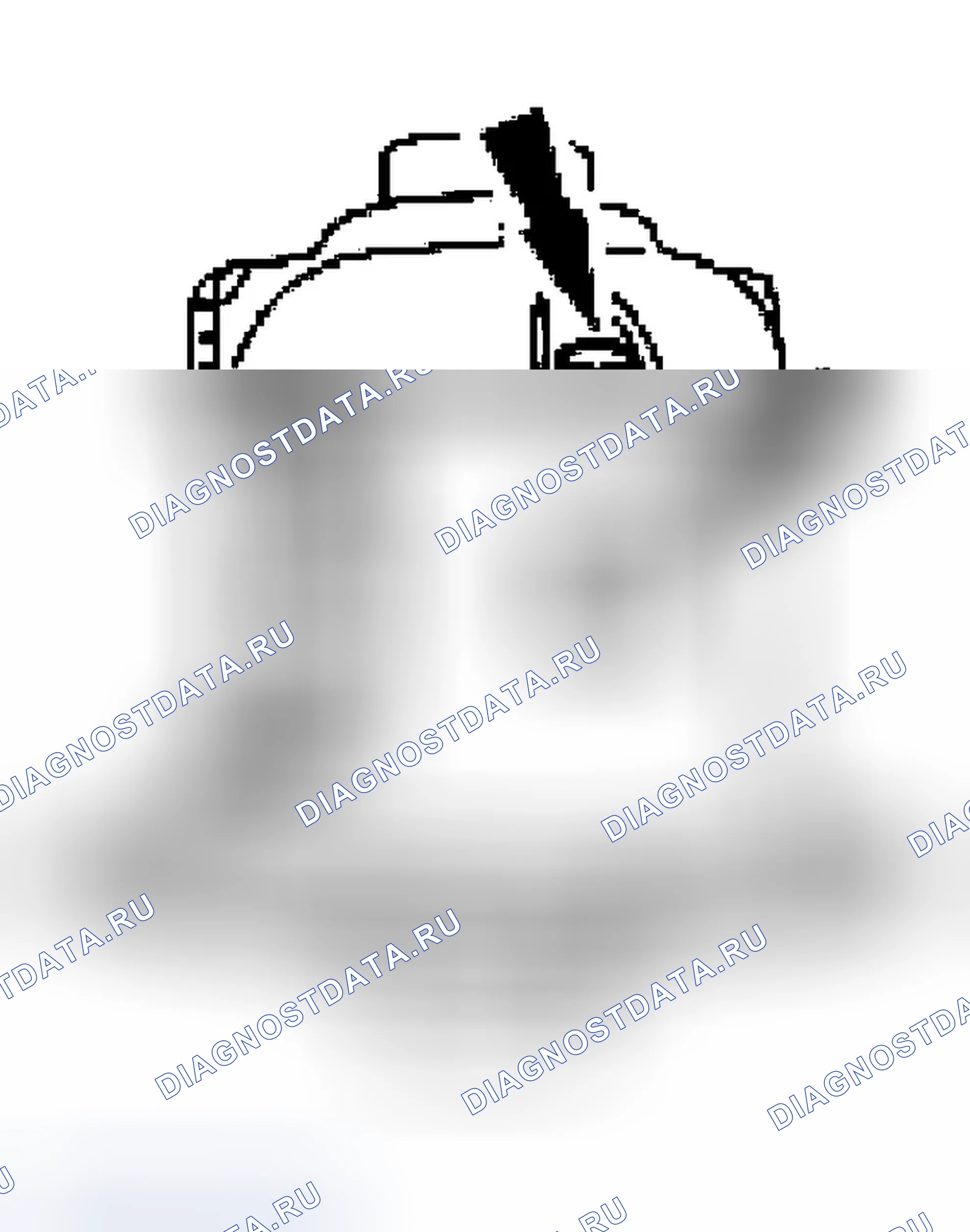 Рис. 343. Ford Ranger I