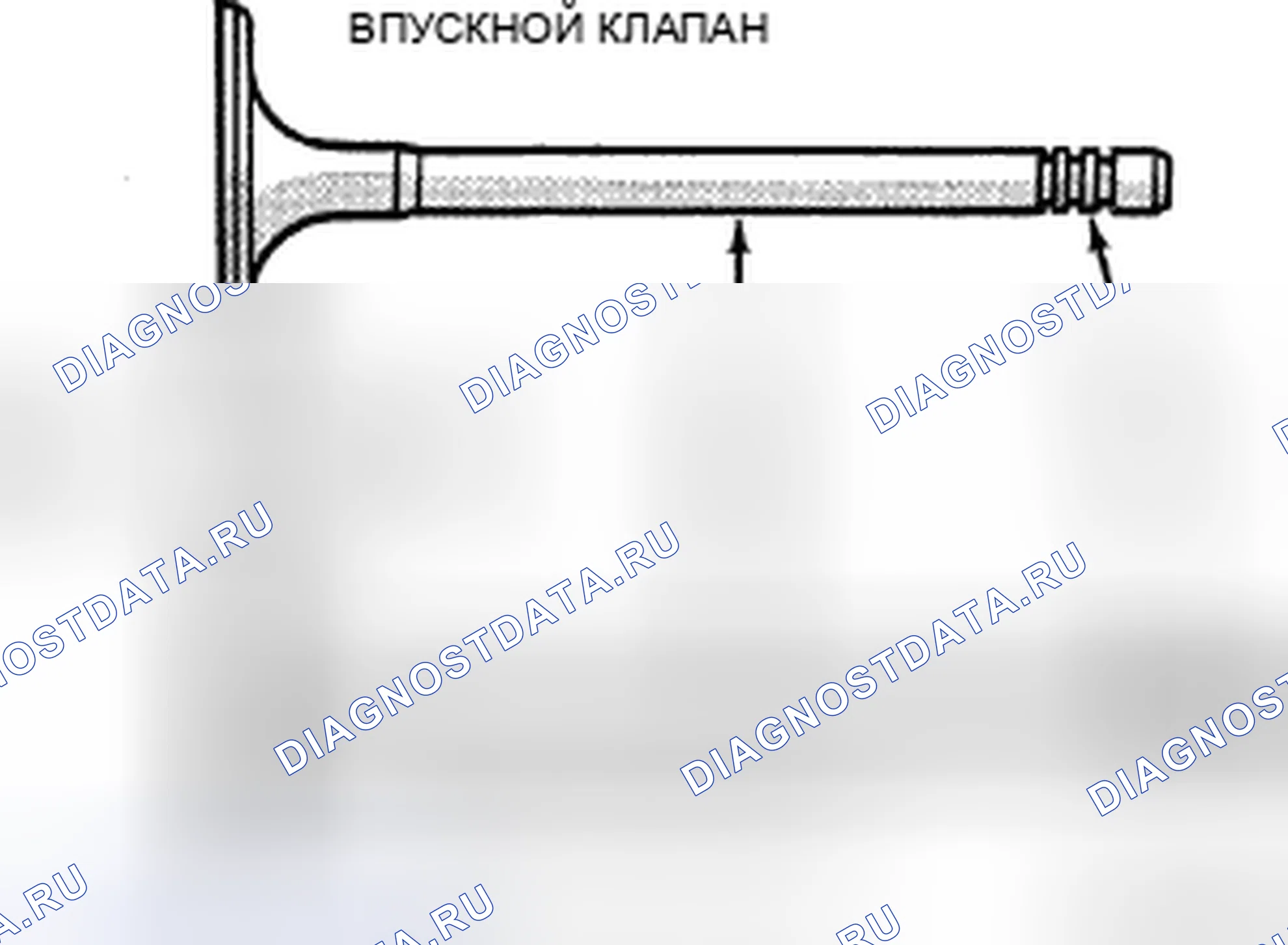 Рис. 301: КЛАПАНЫ. Chrysler Town & Country V