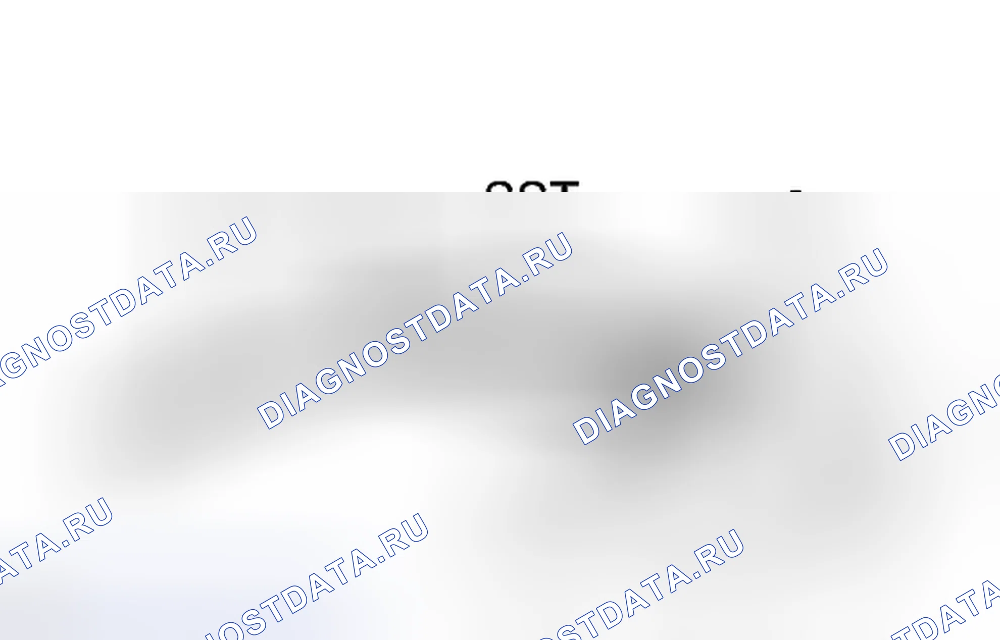 Рис. 110. Lexus CT I