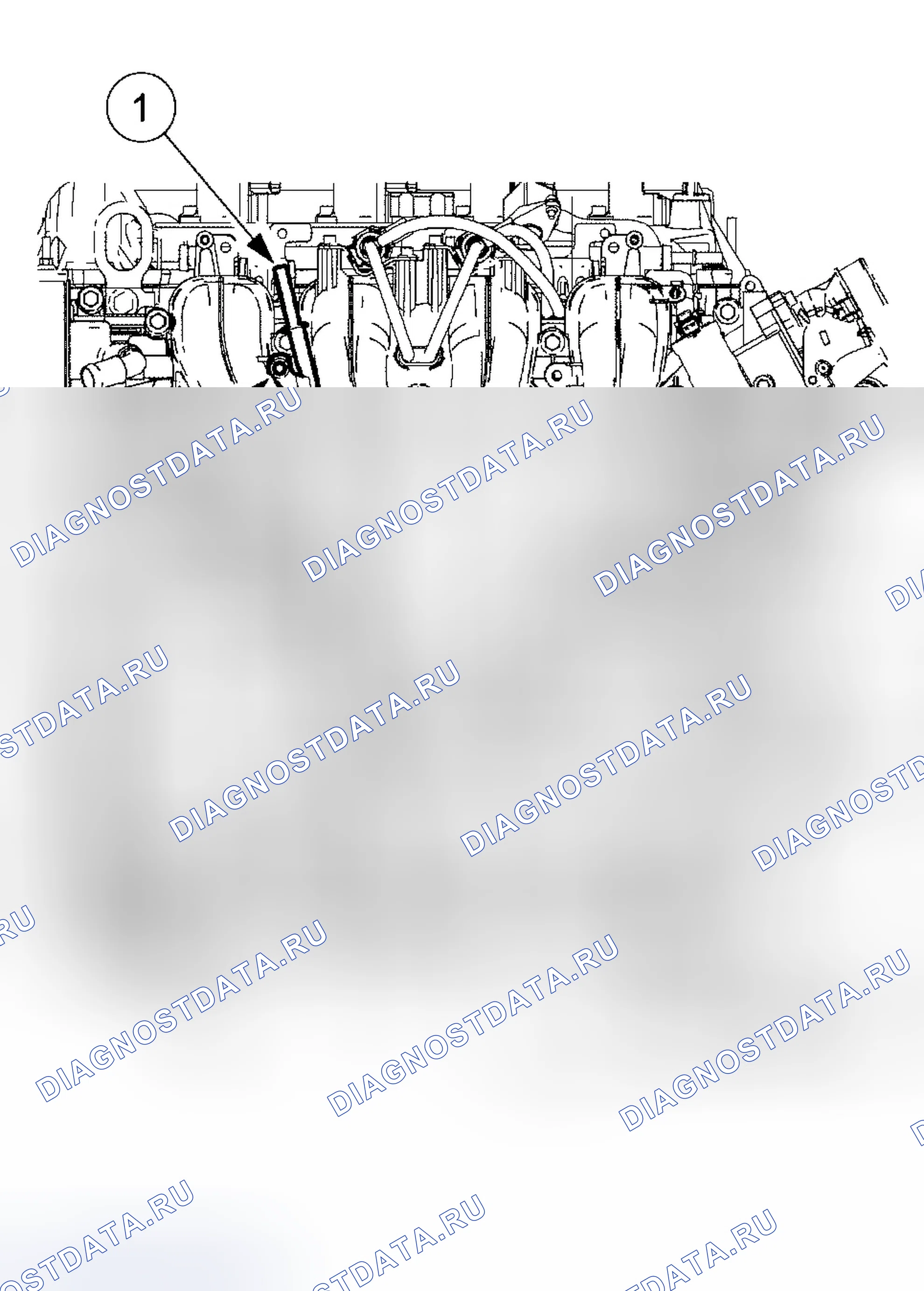 Рис. 1336. Ford Focus I рестайлинг
