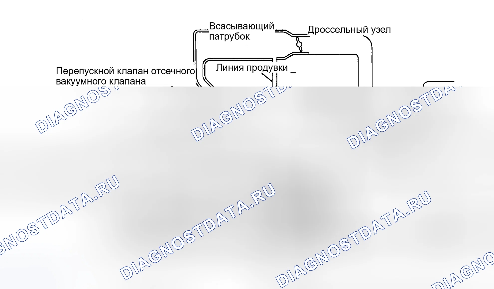Рис. 3: СИСТЕМА ОГРАНИЧЕНИЯ ВЫБРОСОВ В РЕЗУЛЬТАТЕ ИСПАРЕНИЯ. Infiniti I30 II