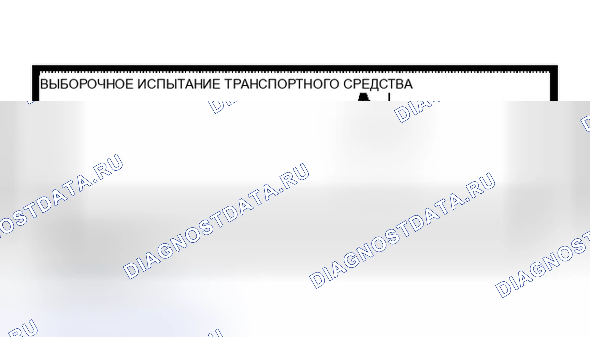 Рис. 8. Nissan Altima L31 рестайлинг
