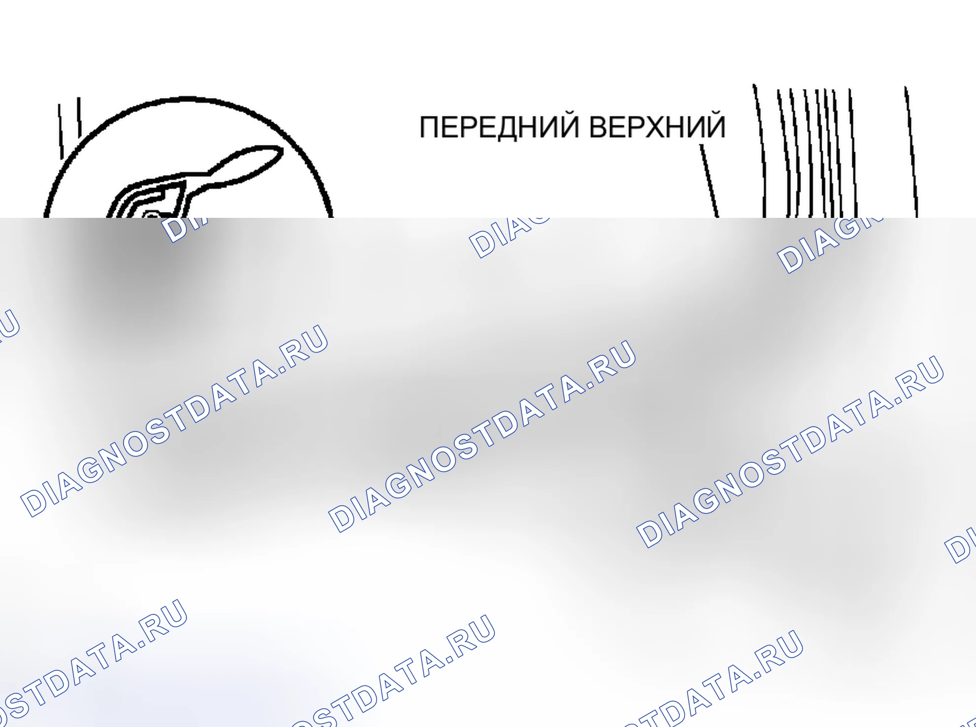 Рис. 385: УСТАНОВКА. Toyota Tacoma II