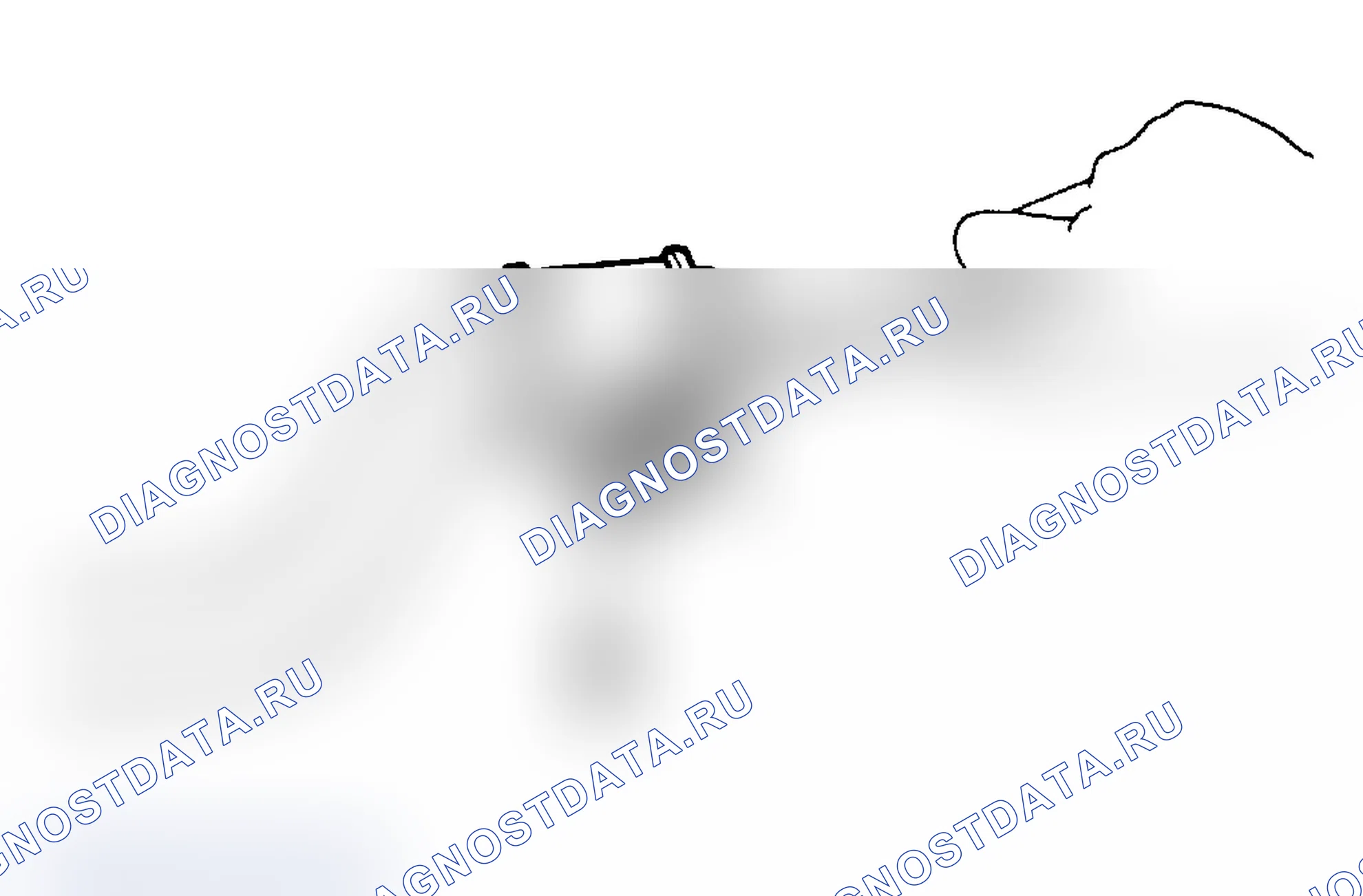 Рис. 14. Toyota Land Cruiser 70