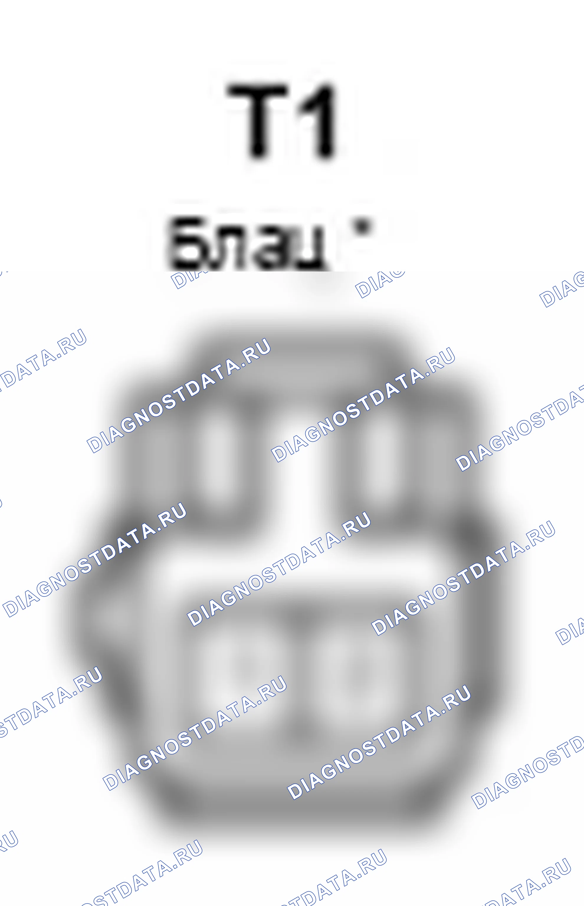 Рис. 482: Вид с торца (T1) двигателя в сборе с правым разъемом переднего сиденья с электроприводом. Lexus IS F I
