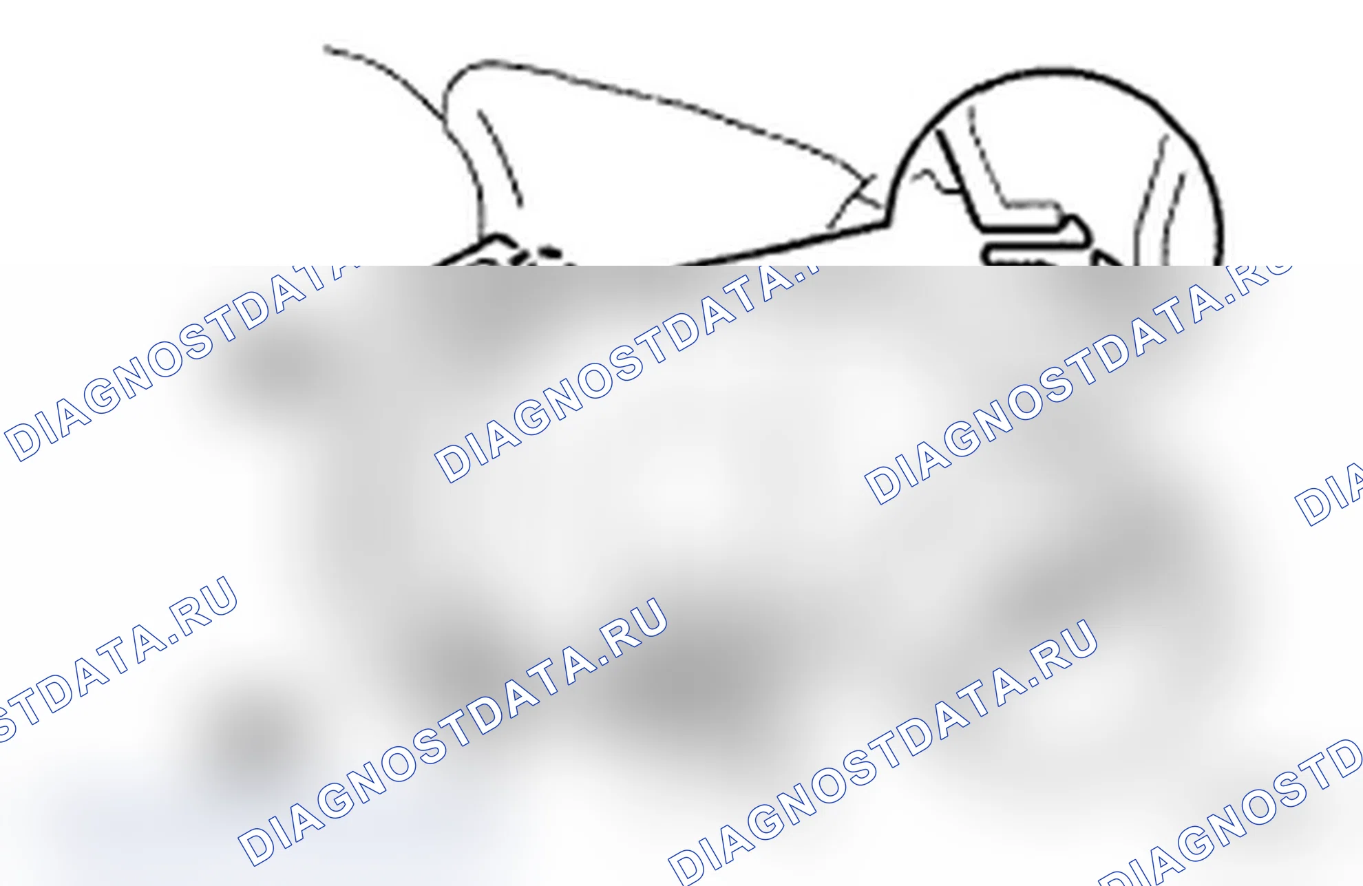 Рис. 89. Toyota Land Cruiser 200