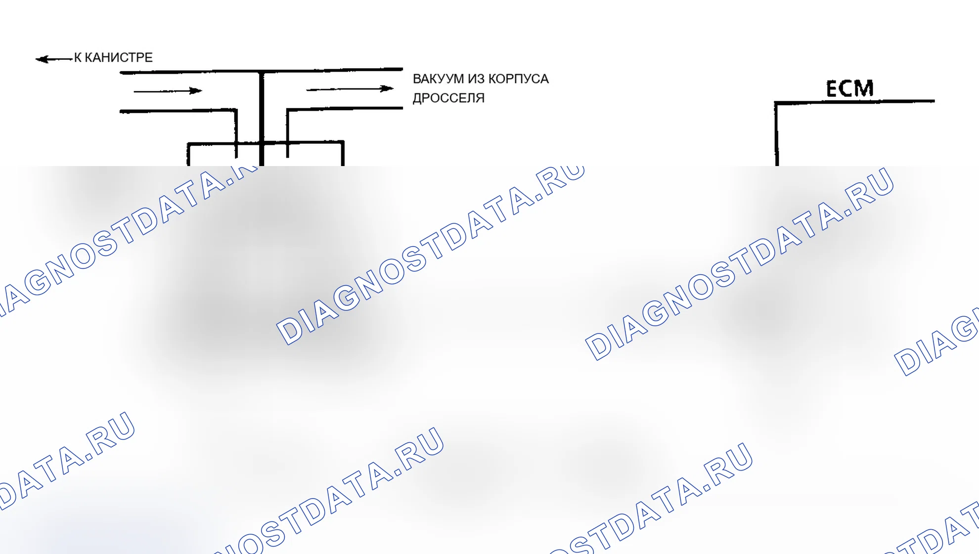 Рис. 337: Диаграмма C3. Проверка продувки контейнера Ckt Diag (3.3L A/N кузов). Buick Riviera VII