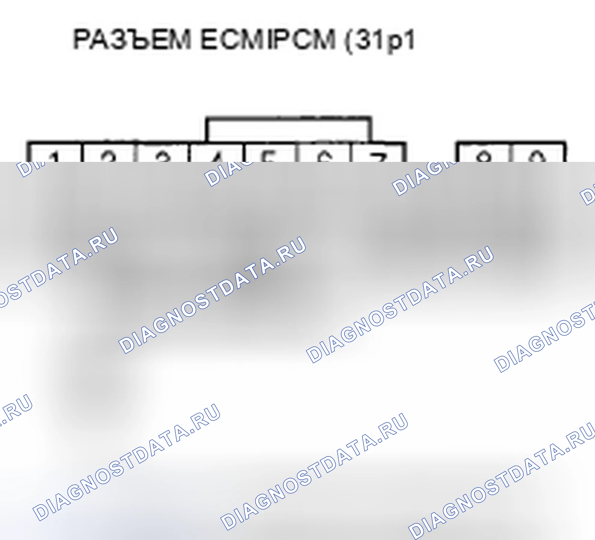 Рис. 383. Honda Element YH2 рестайлинг
