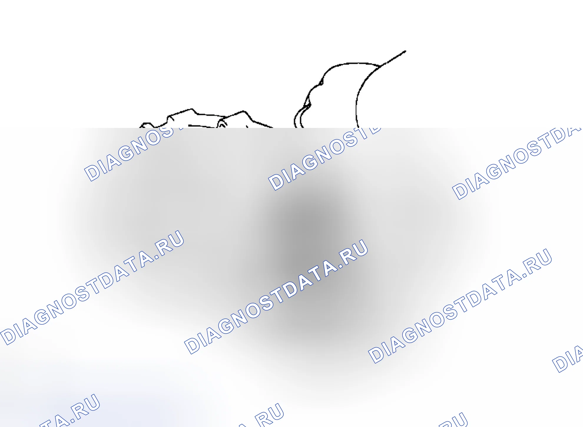 Рис. 115. Toyota Tacoma II