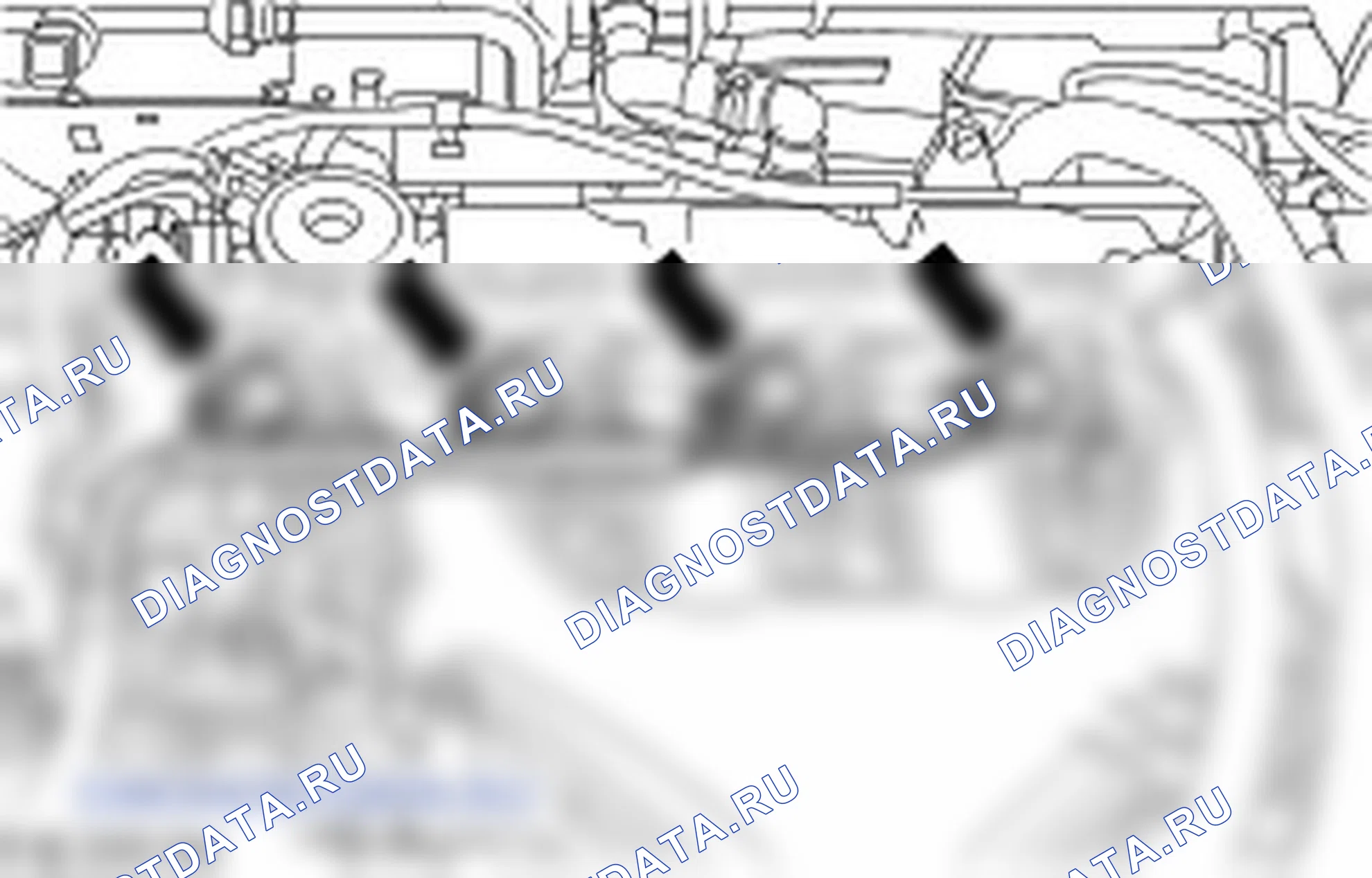 Диагностика двигателя. Ford Kuga I