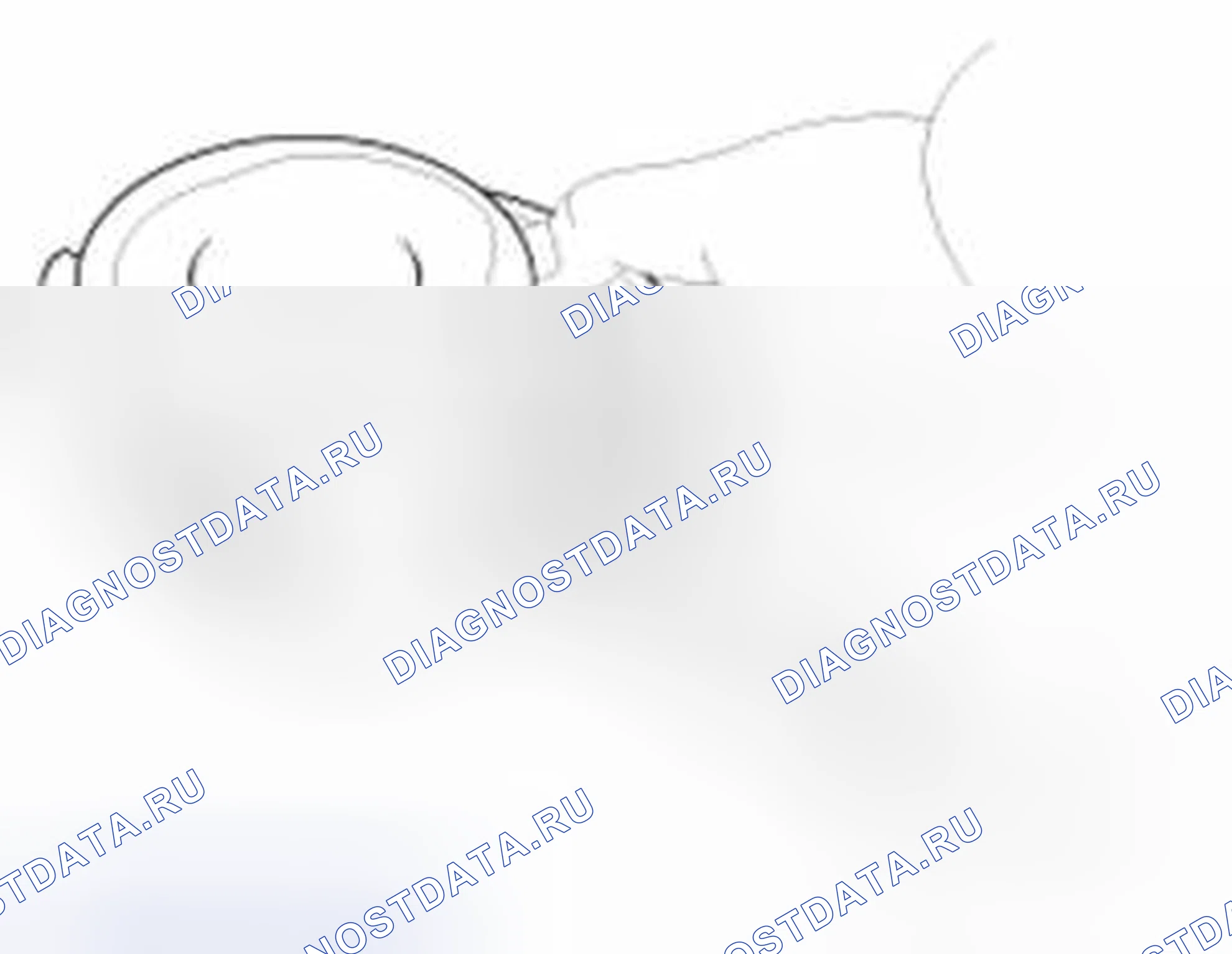 Рис. 200: Поршень и кольца. Geely SC7 I