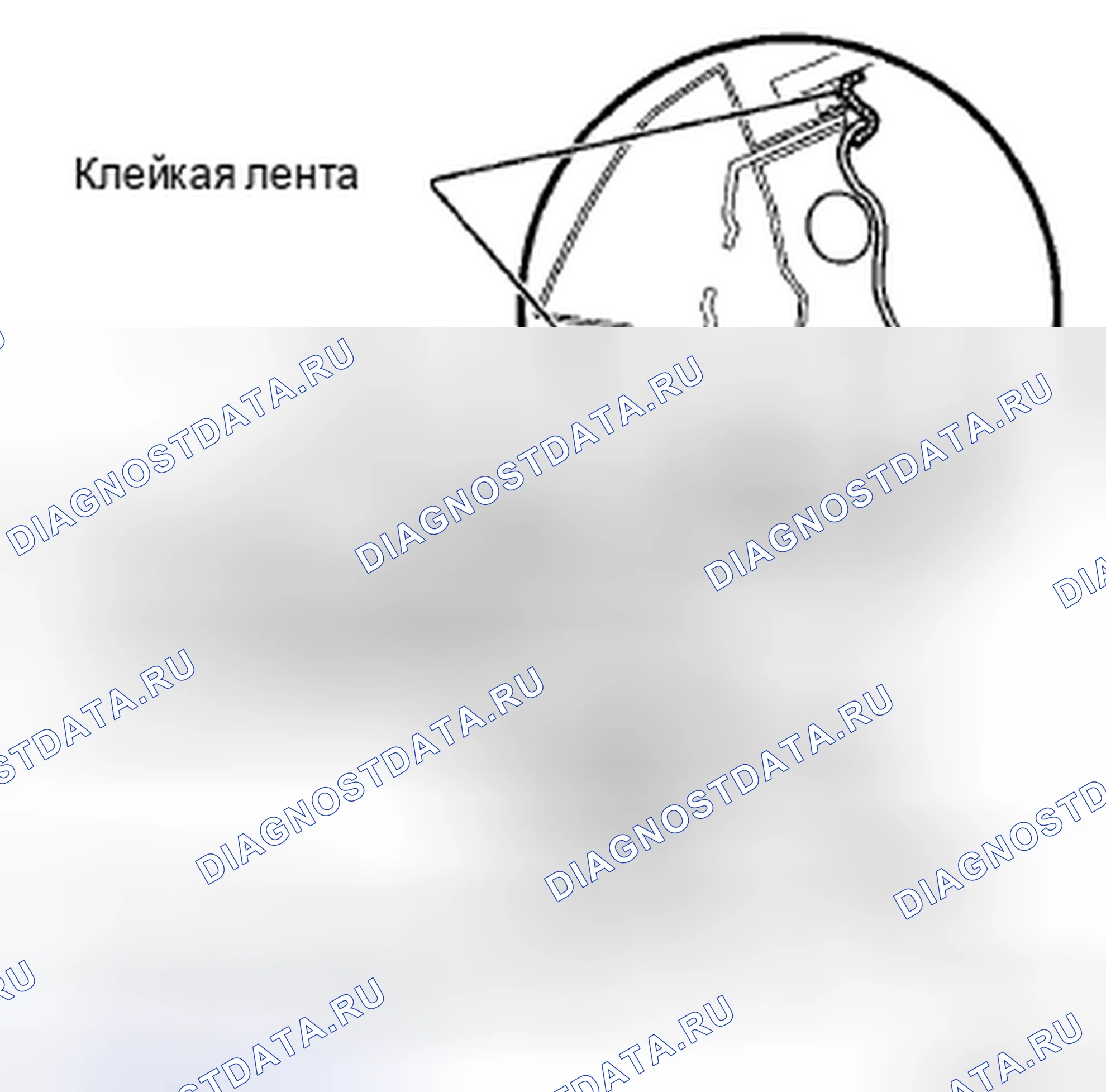 Рис. 287. Toyota Corolla X