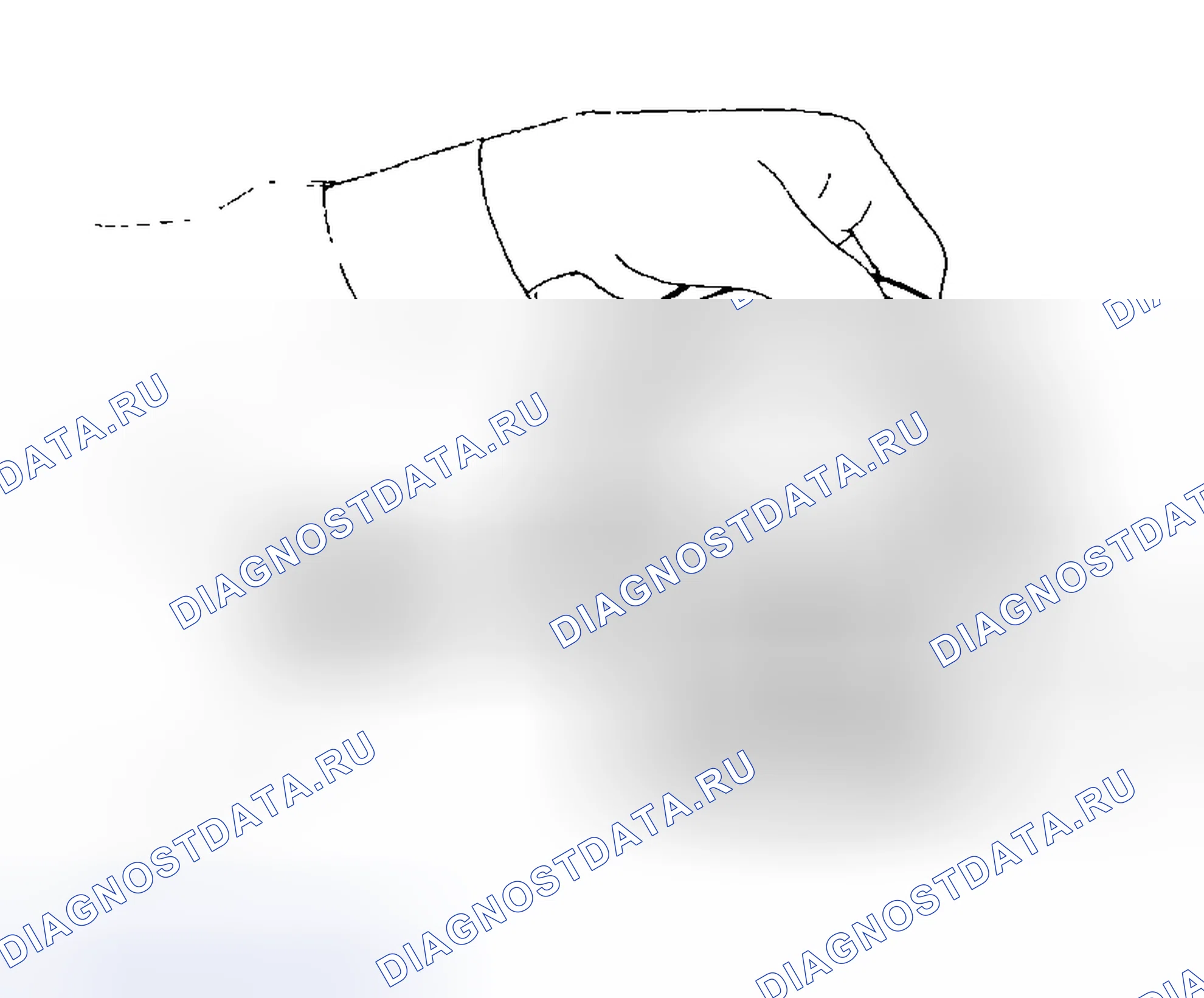 Рис. 262. Subaru Outback BH