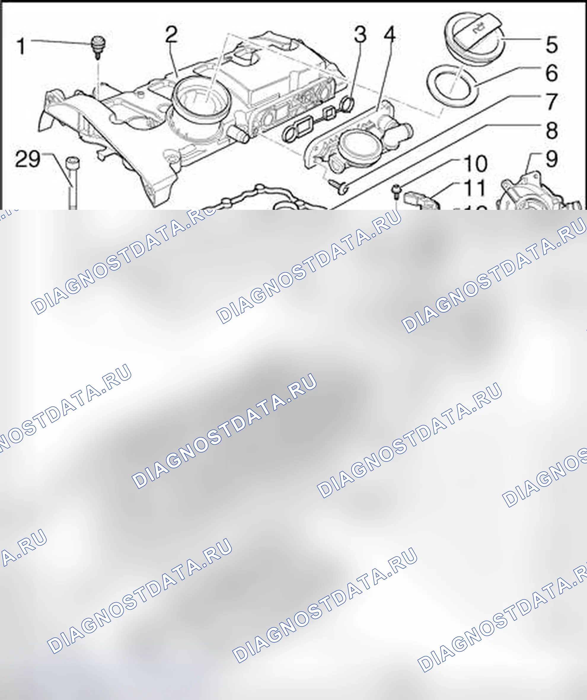 Рис. 523: Головка цилиндра, обзор сборки. Audi A4 B7