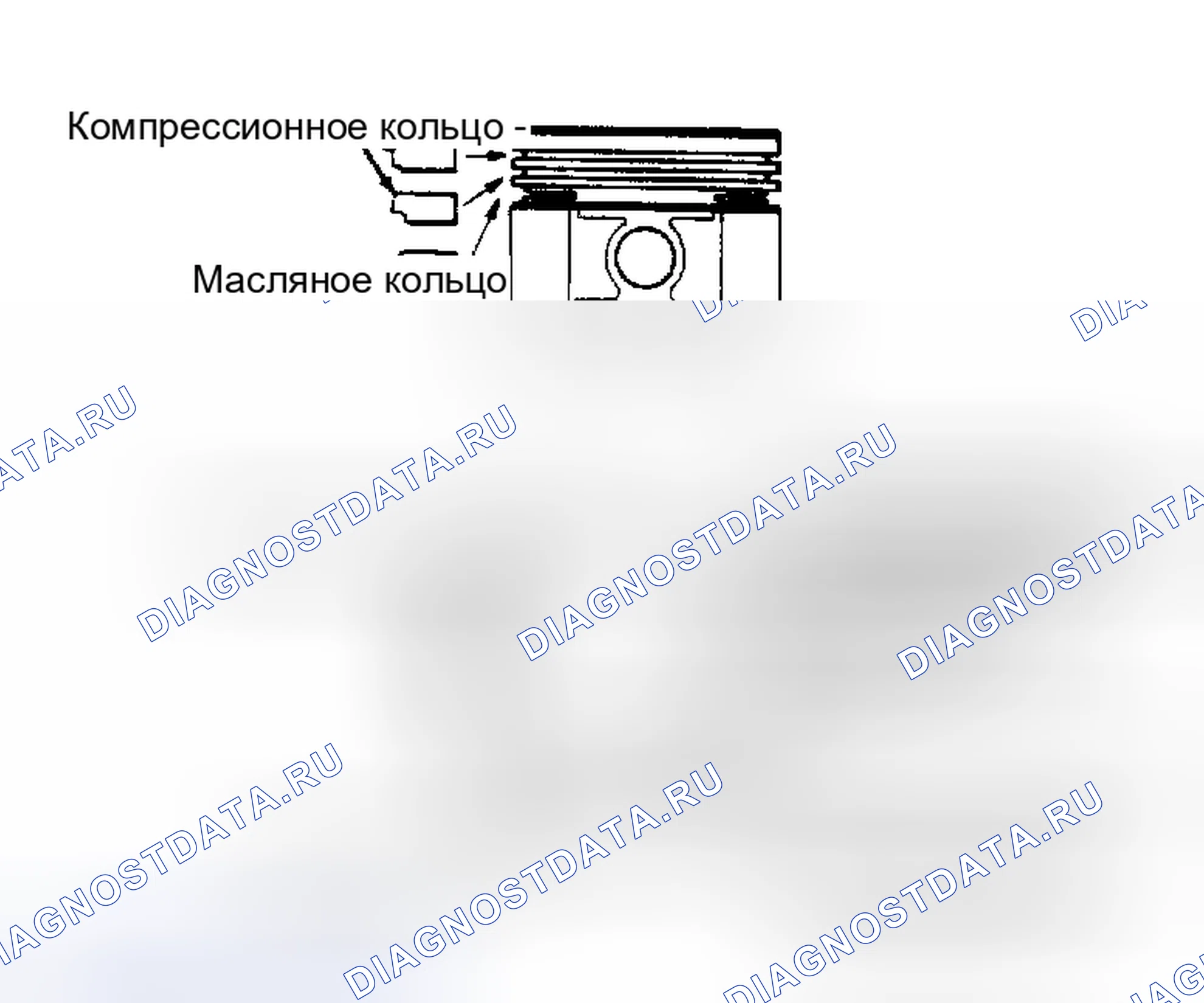 Рис. 12: УСТАНОВОЧНЫЕ КОЛЬЦА. Nissan Pulsar N13