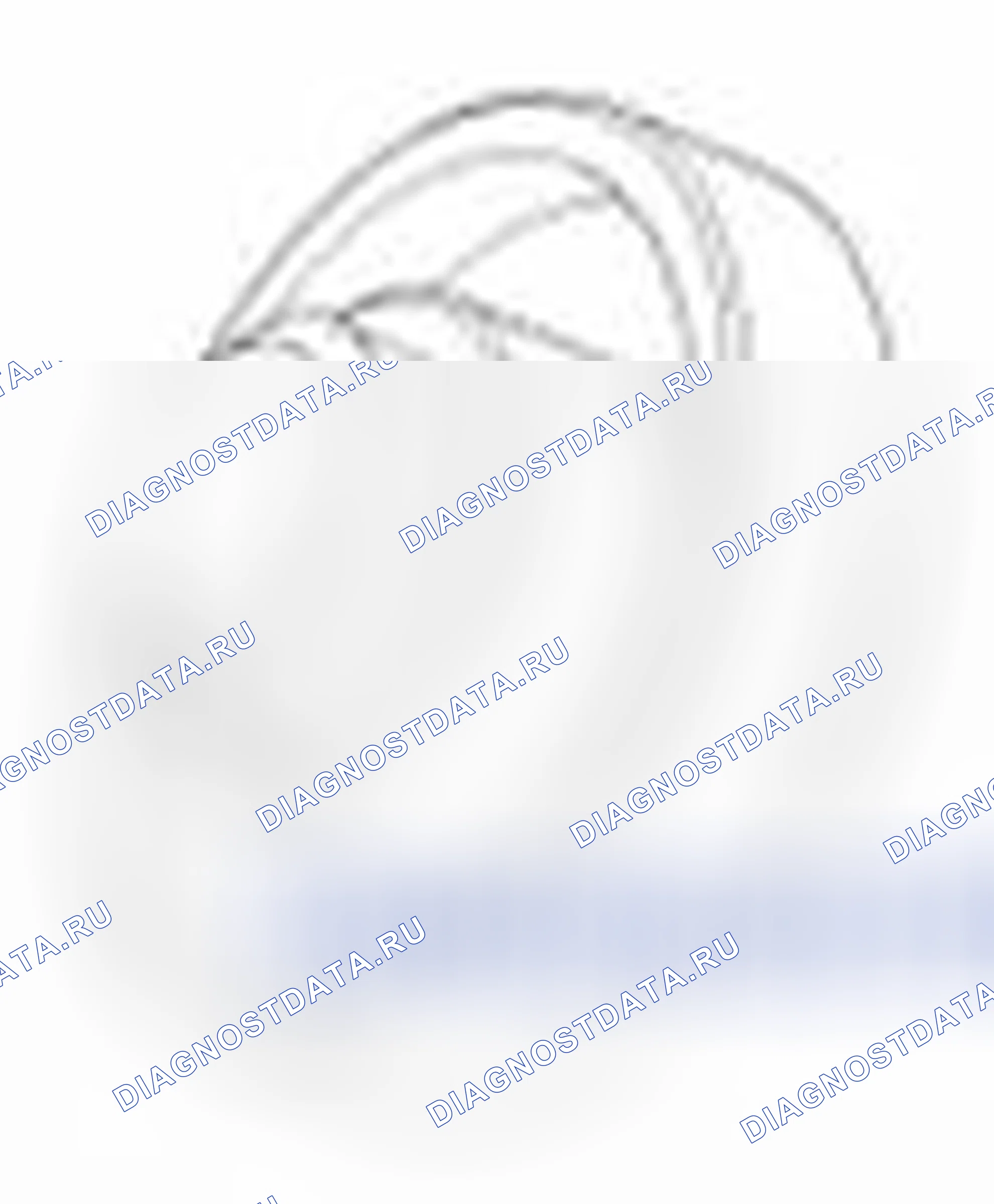 Рис. 234. Haval Beast (Shenshou) I