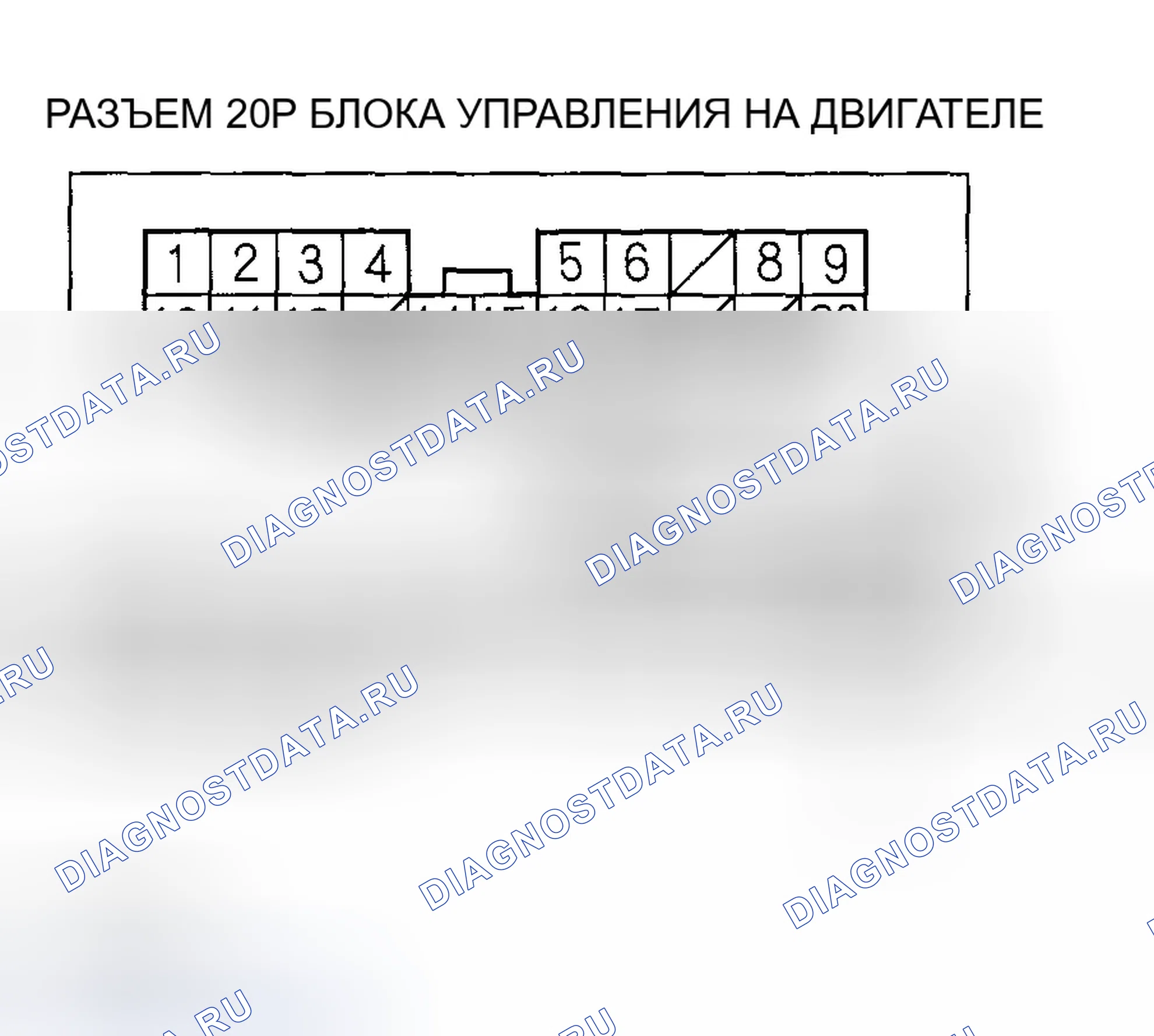 Рис. 602. Honda Accord VII рестайлинг