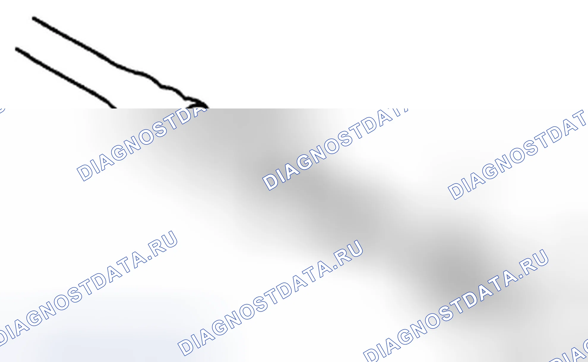 Рис. 101. Acura TSX II