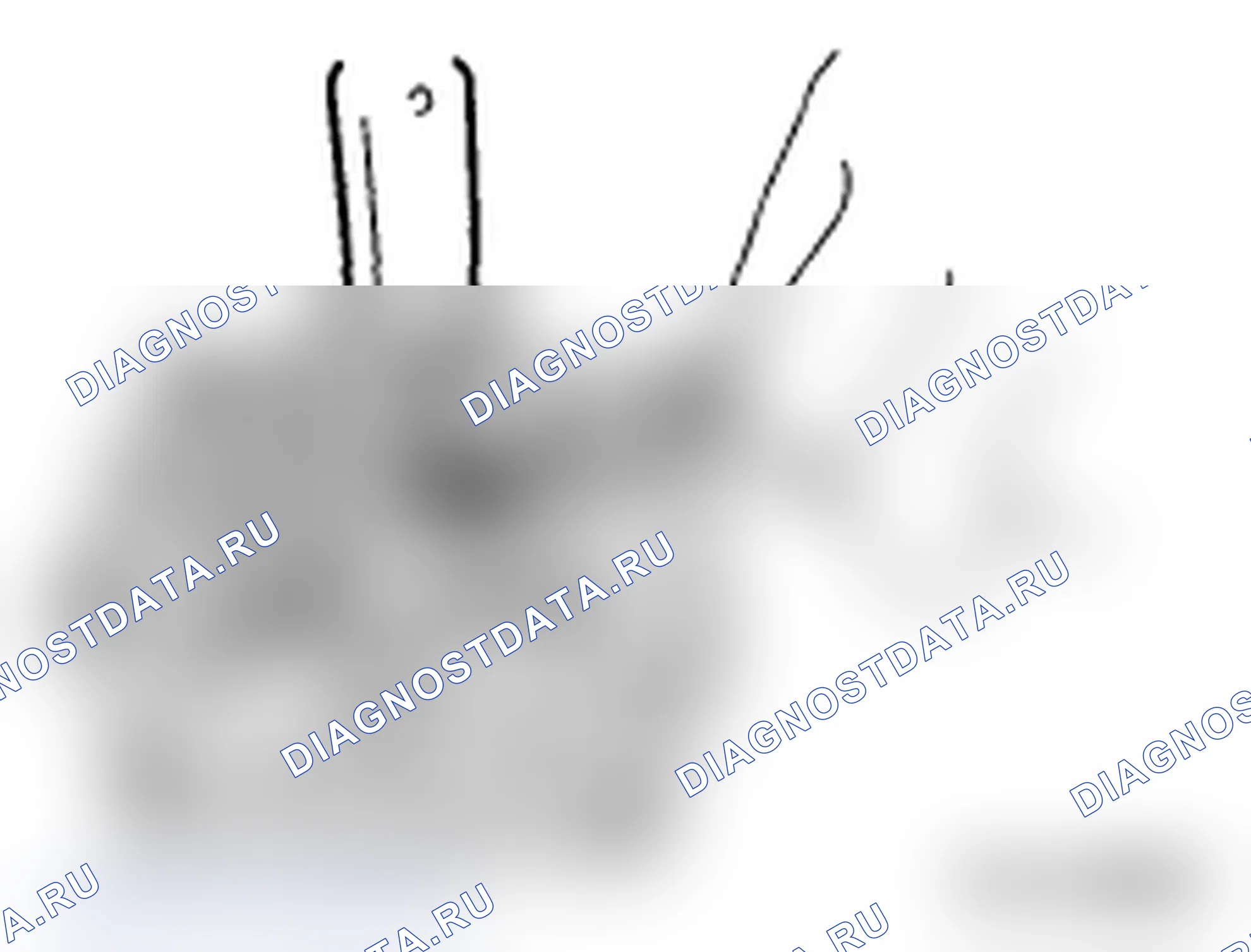Рис. 23. Subaru Impreza WRX GD/GG рестайлинг 2