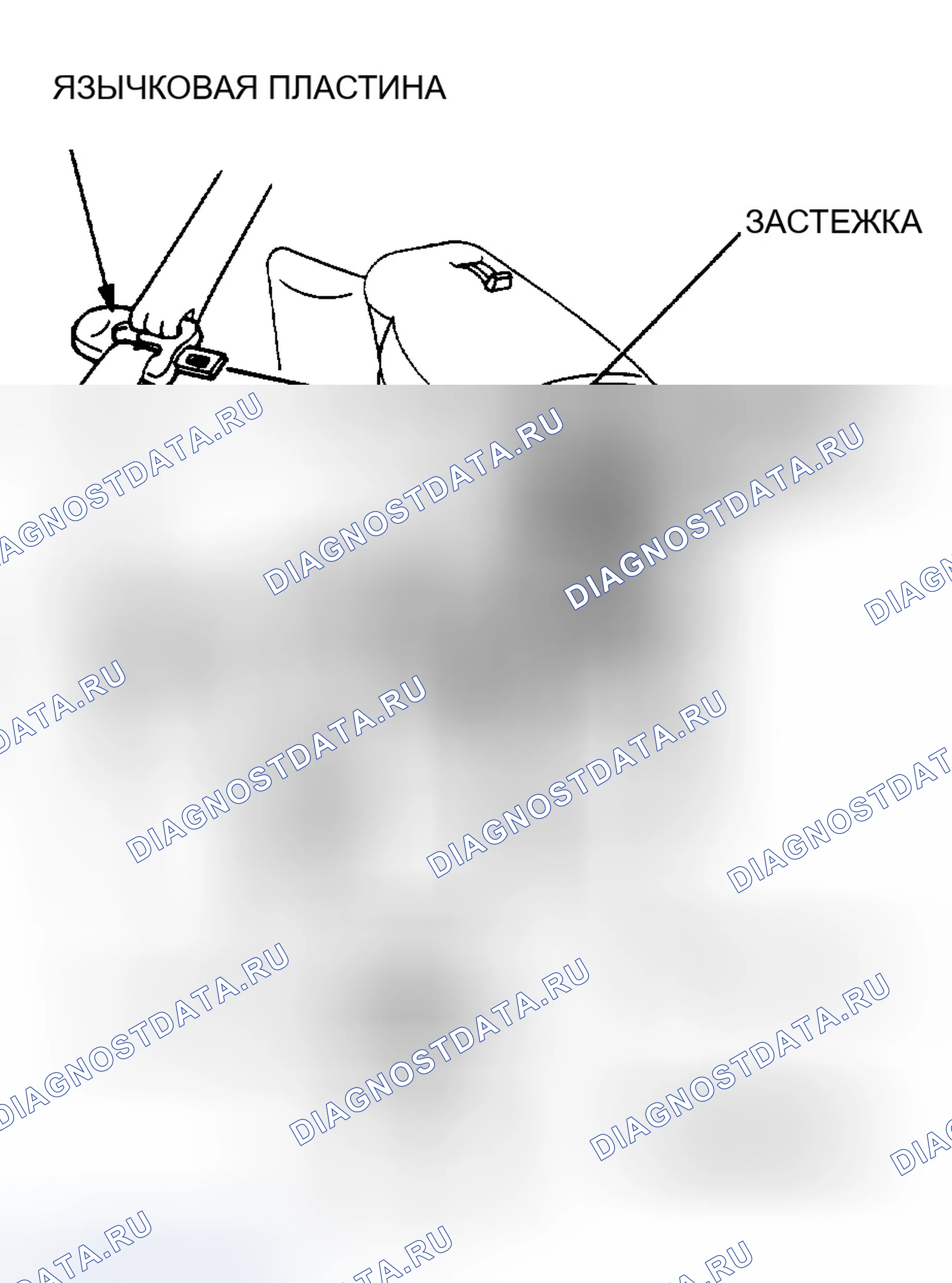 Рис. 1. Honda Accord III