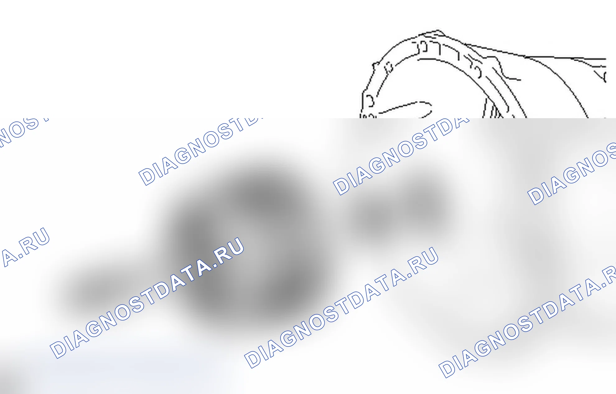 Рис. 321. Lexus IS F I